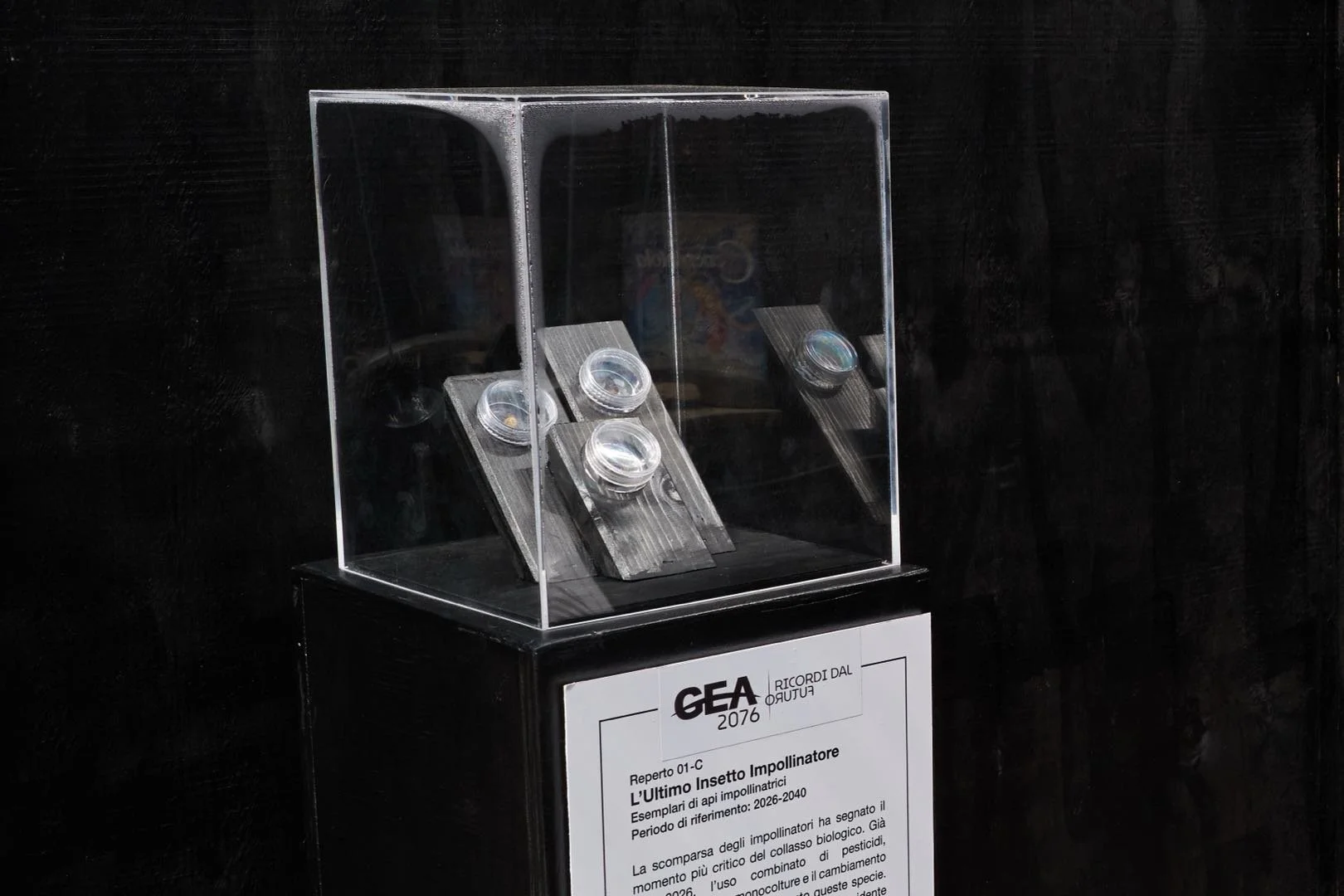 GEA 2076 - Bari 58.jpg