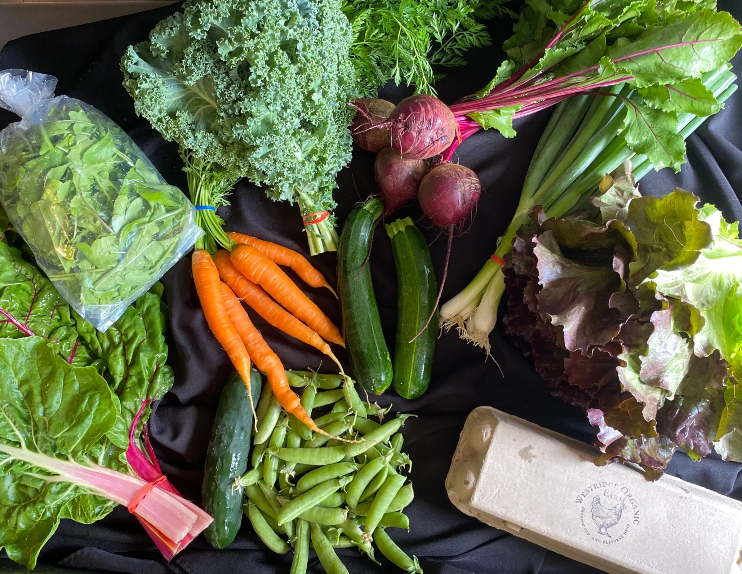 About — Westridge Organic Farm