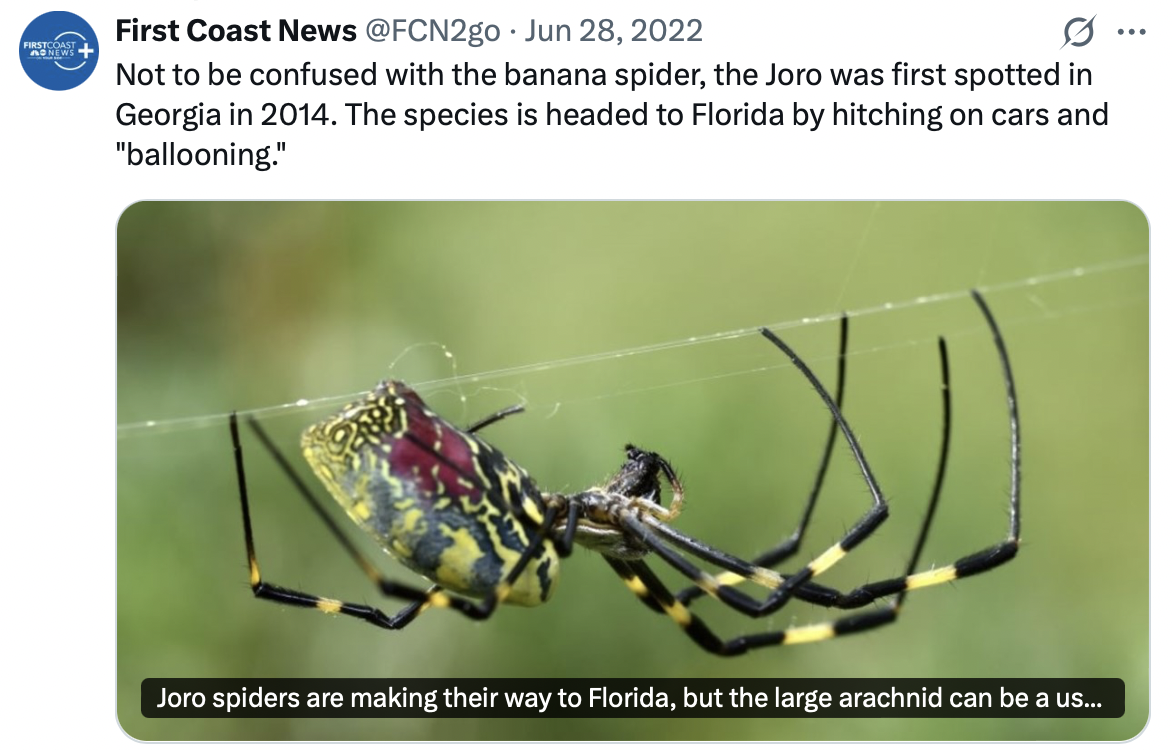 Screenshot 2026-02-26 at 12.46.33 PM.png