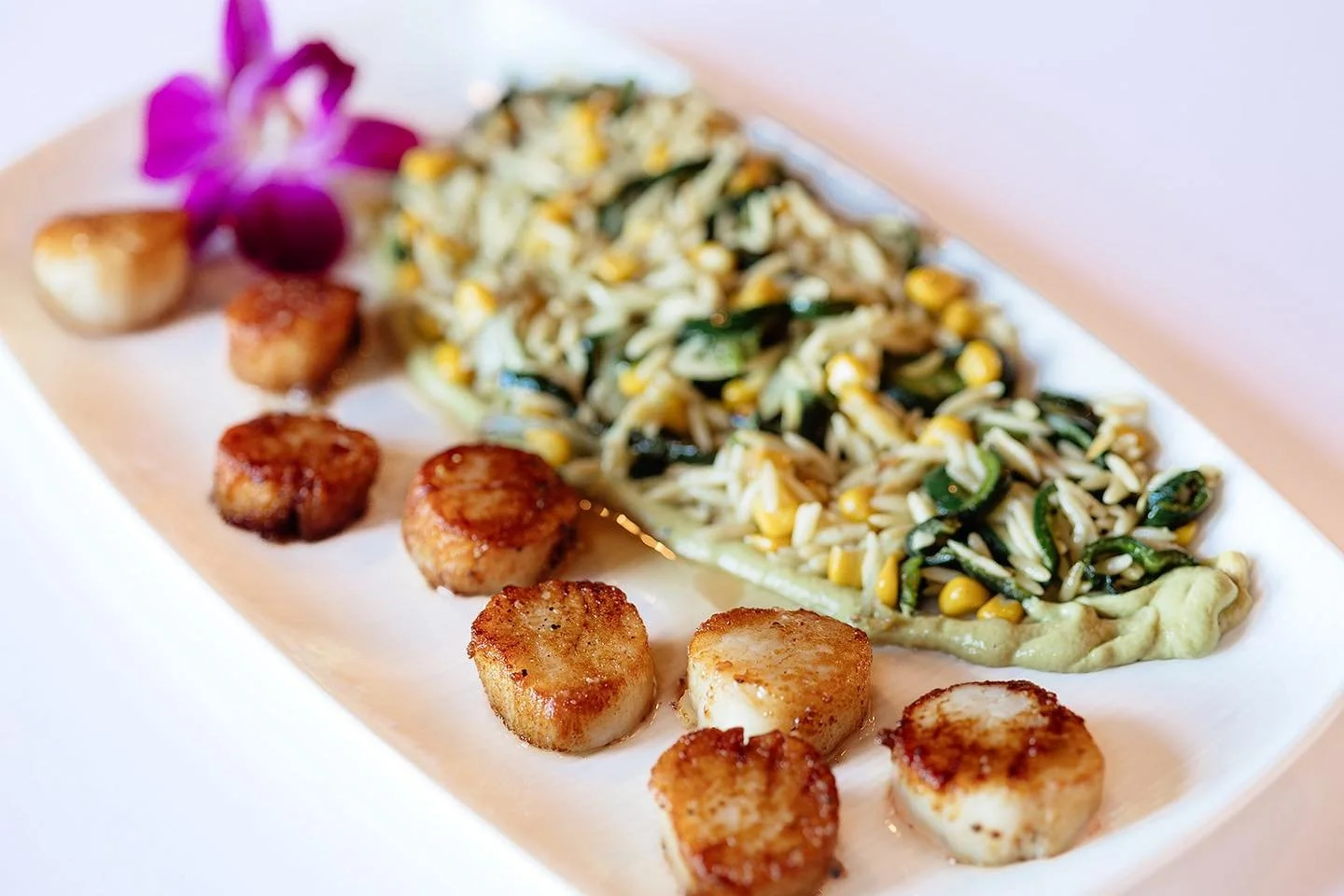 Summers heating up with some delicious new flavors ☀️

Pictured here is a New England favorite, Seared Scallops!
Pan seared scallops with charred corn salsa verde over orzo salad with fire roasted sweet corn, poblano and herbs, finished with avocado 