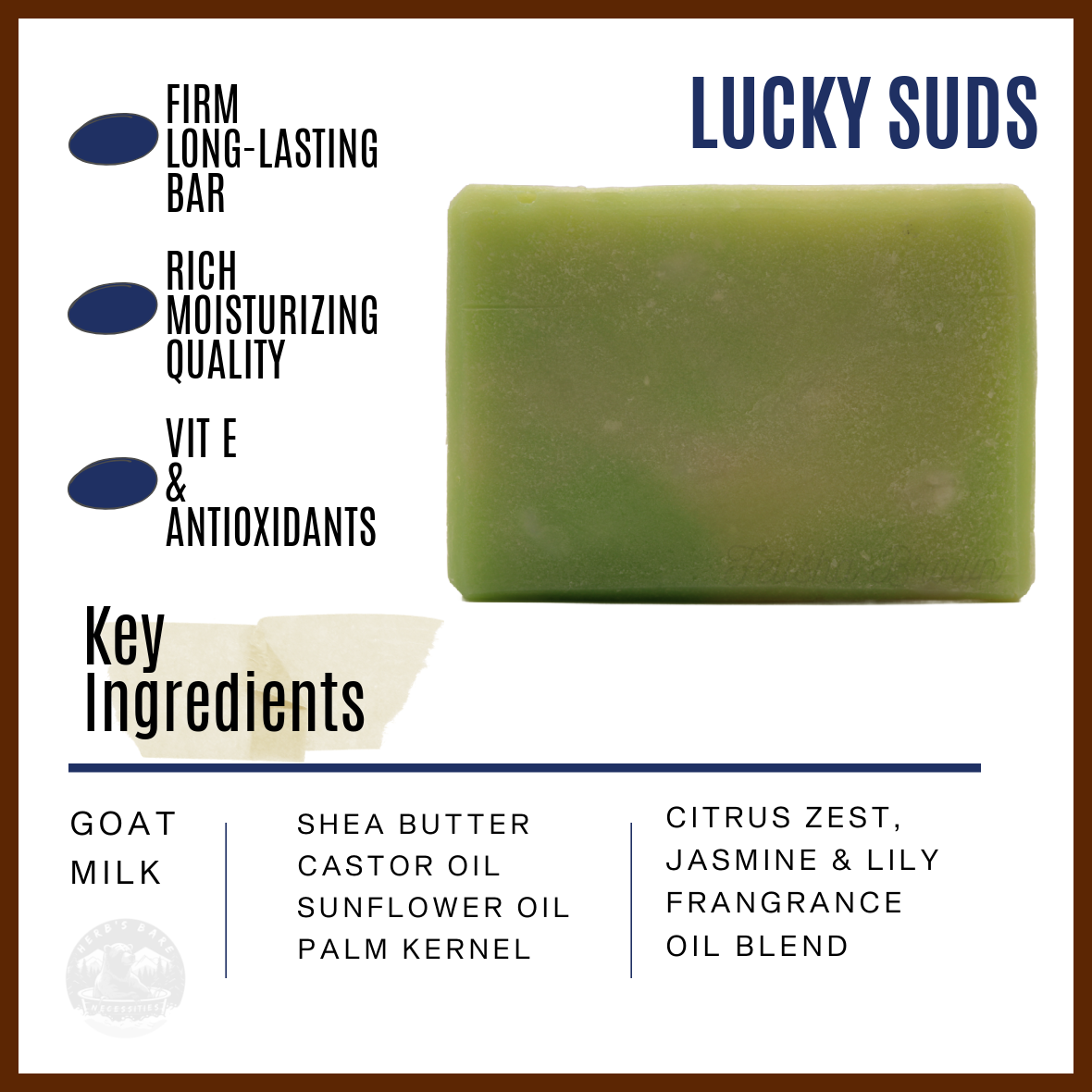 LUCKY SUDS Info Graphic Page  copy.png