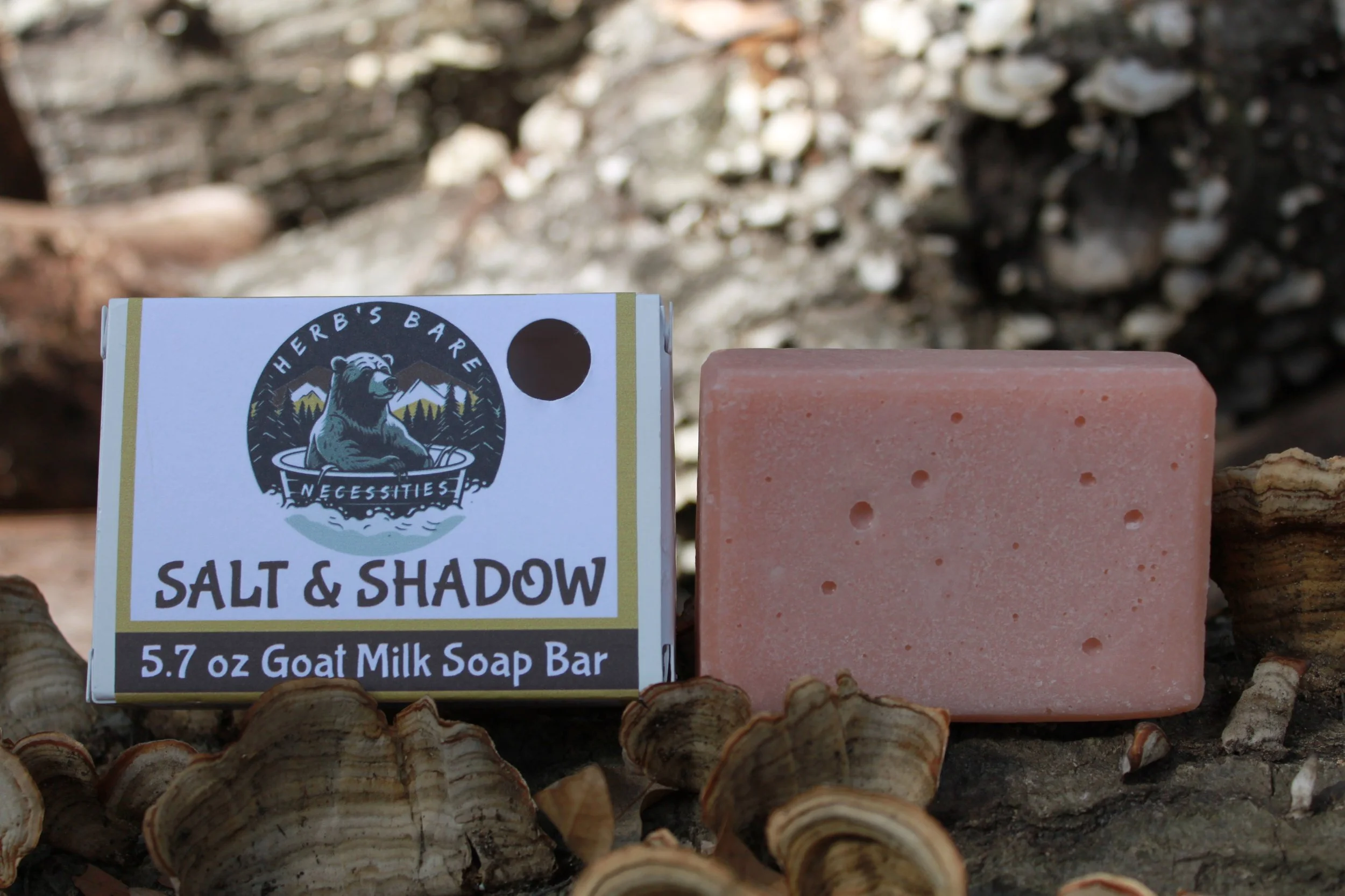 Salt and Shadow with eniro with box.JPG