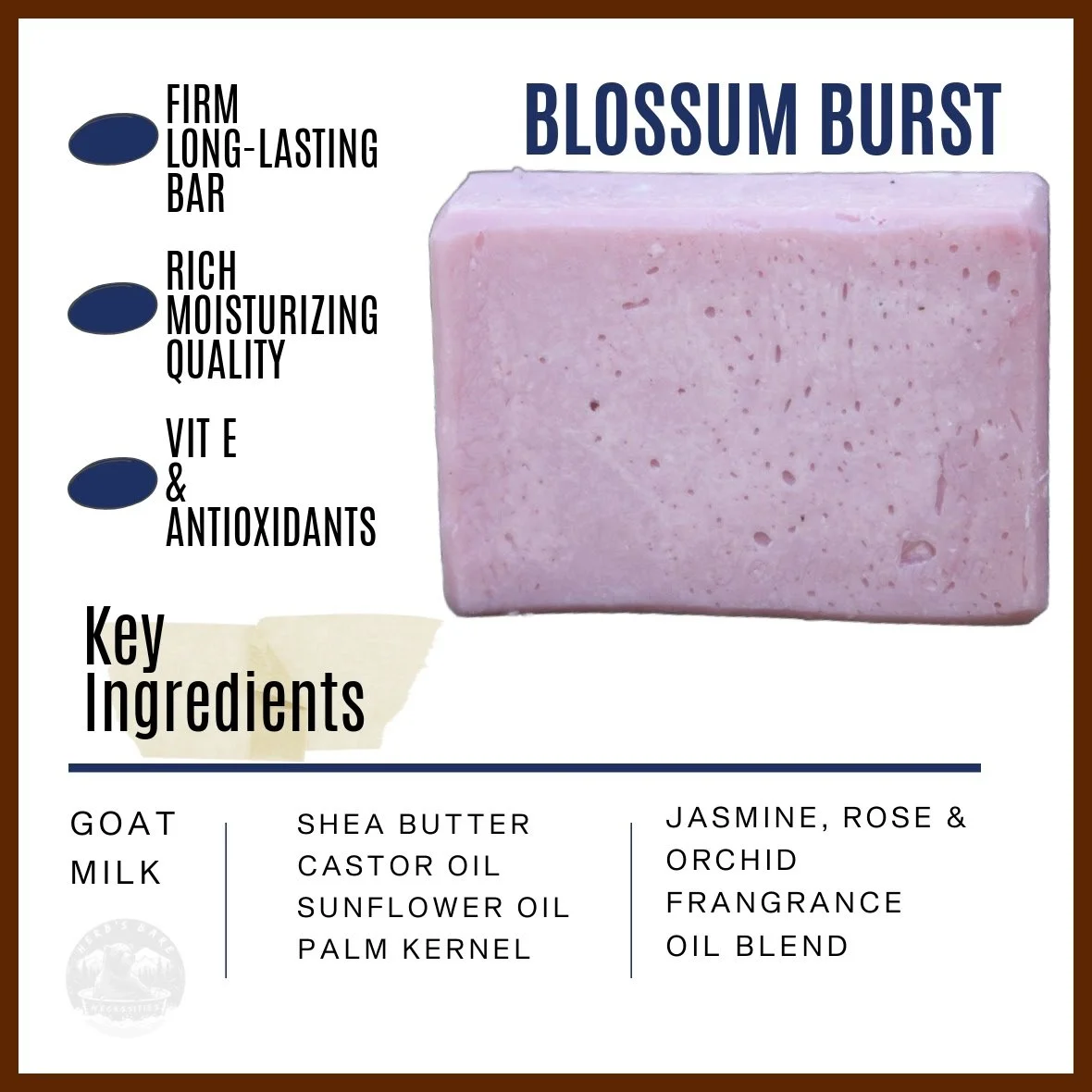 BLOSSOM BURST Info Graphic Page.jpg