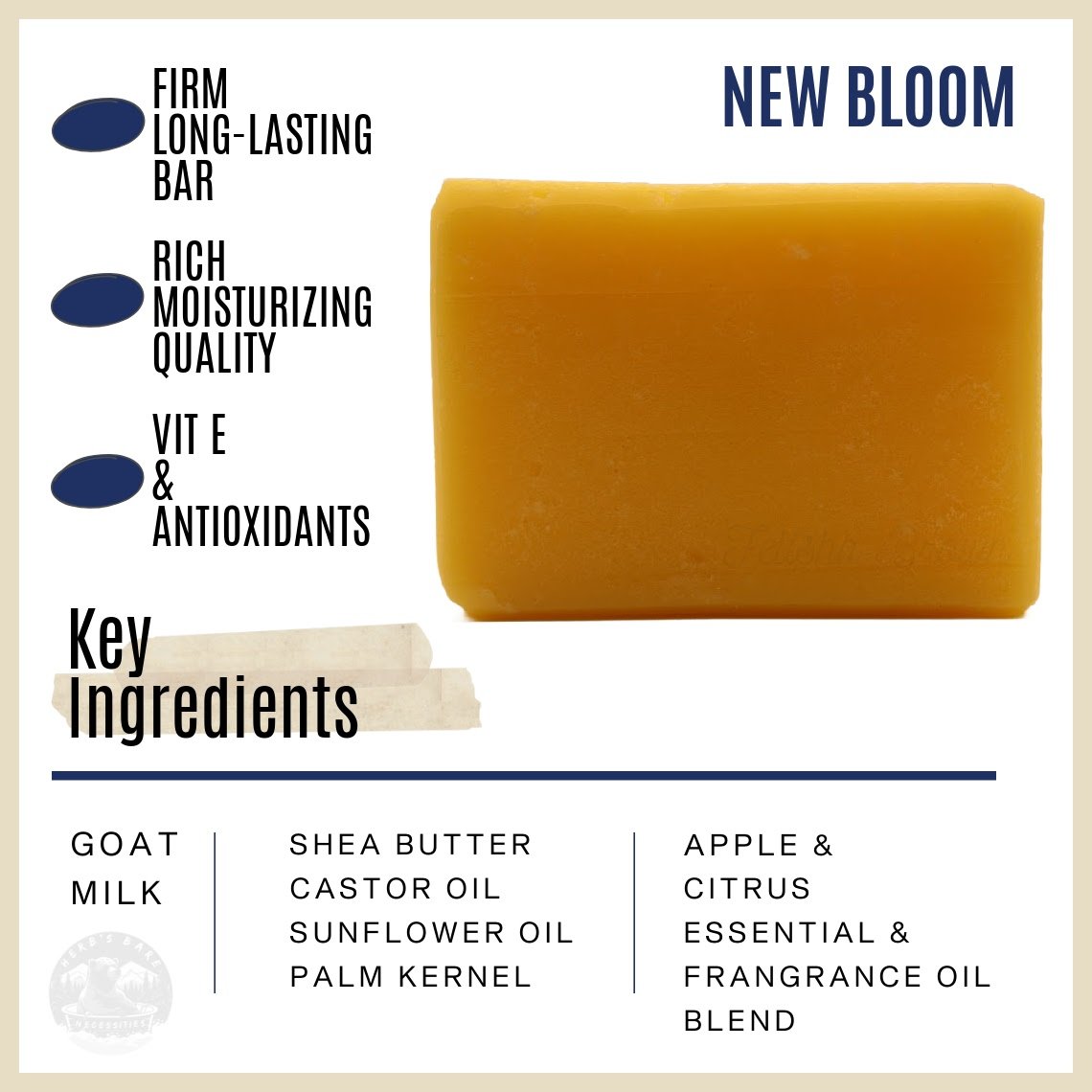 NEW BLOOM Info Graphic Page copy.jpg