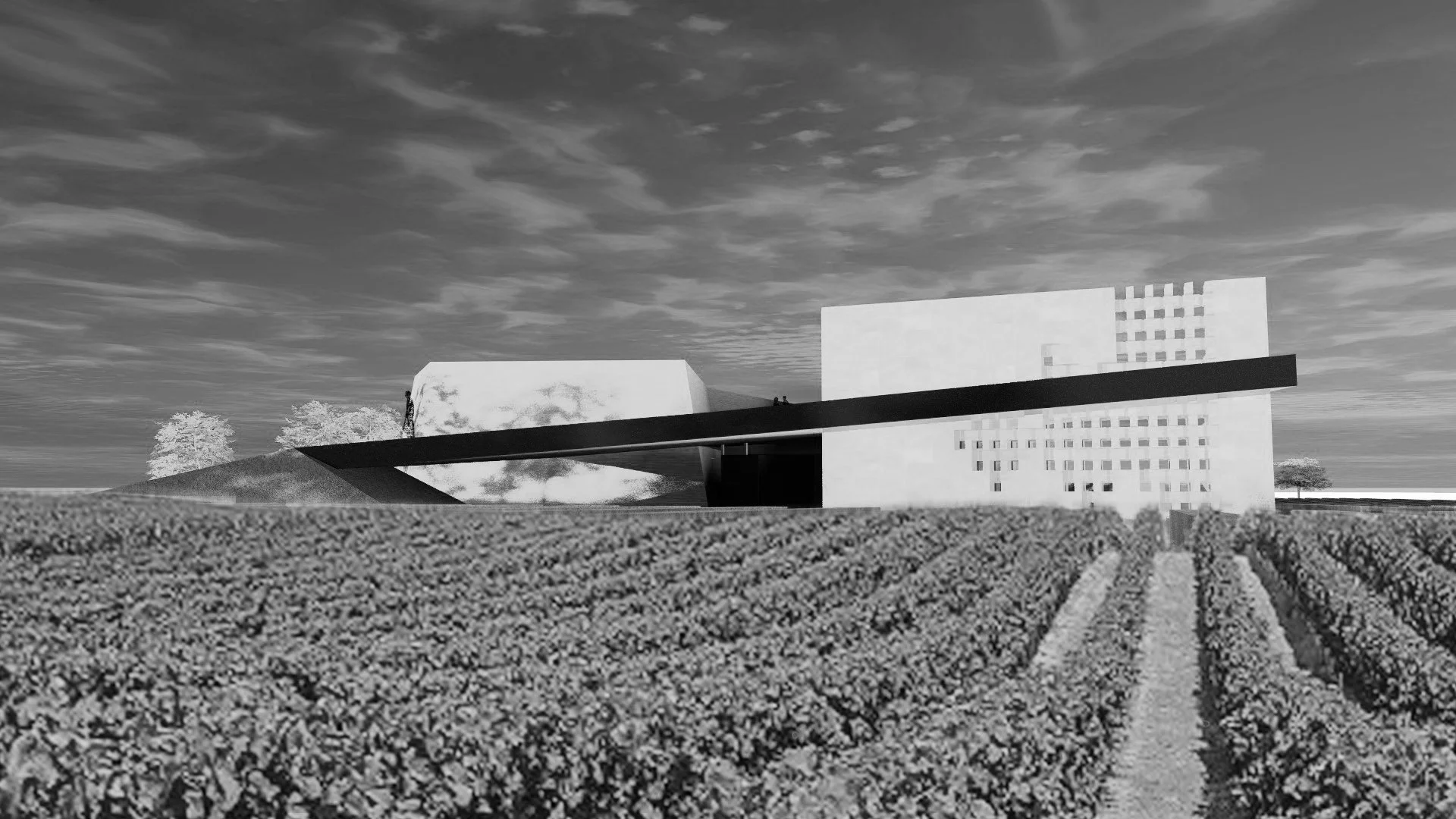 Vue dans les vignes2.jpg