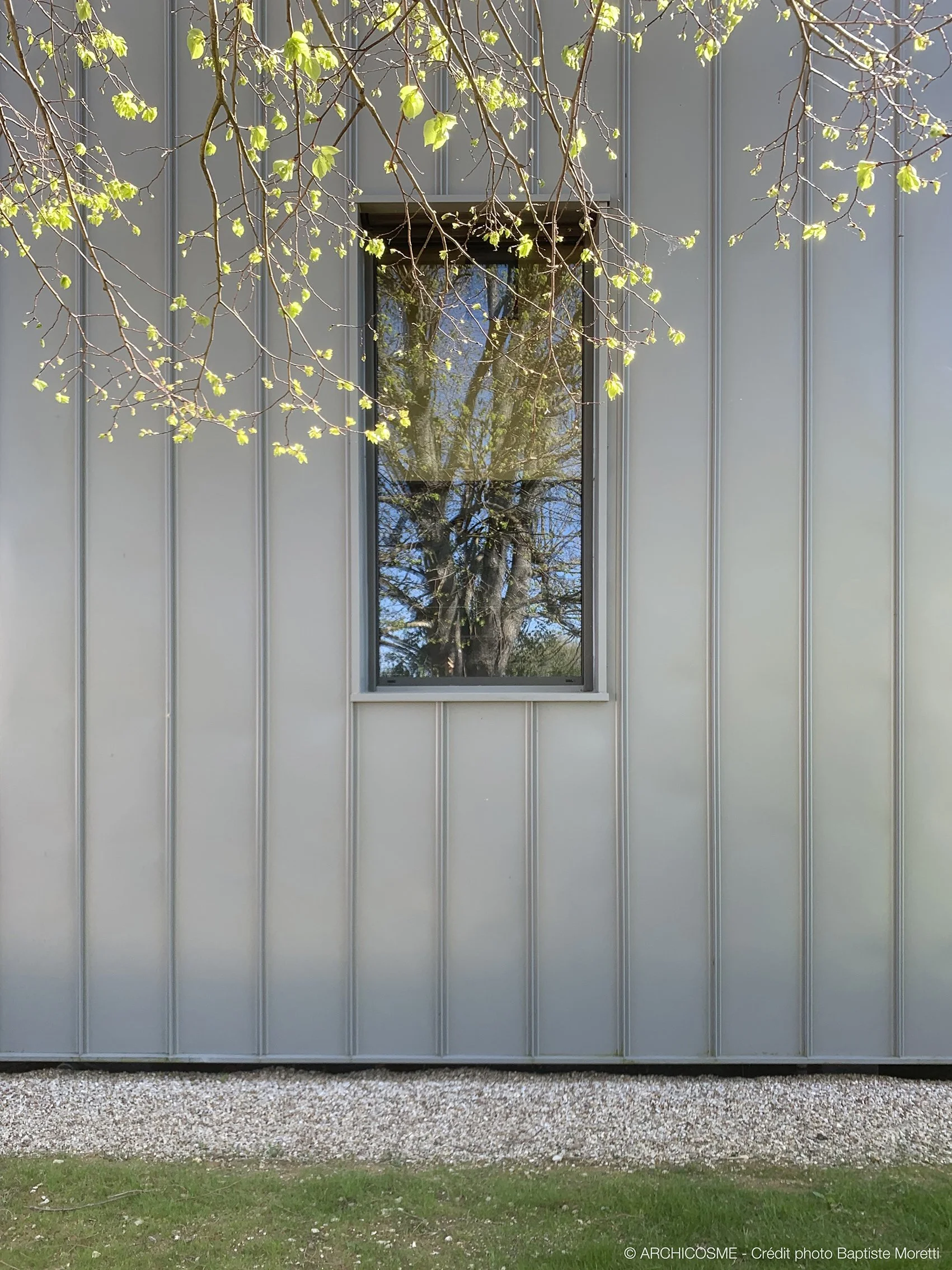 RENARD - Photo 4.jpg