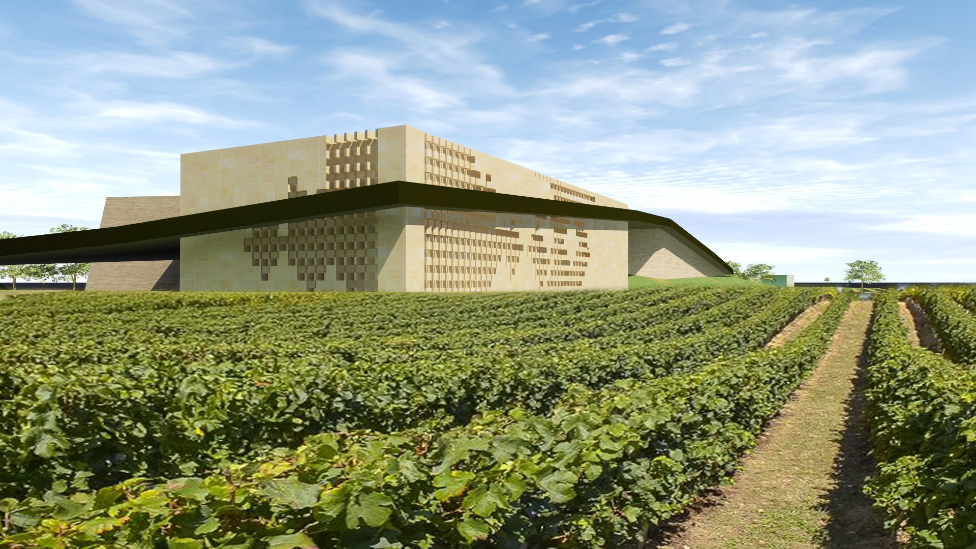 Vue dans les vignes.jpg