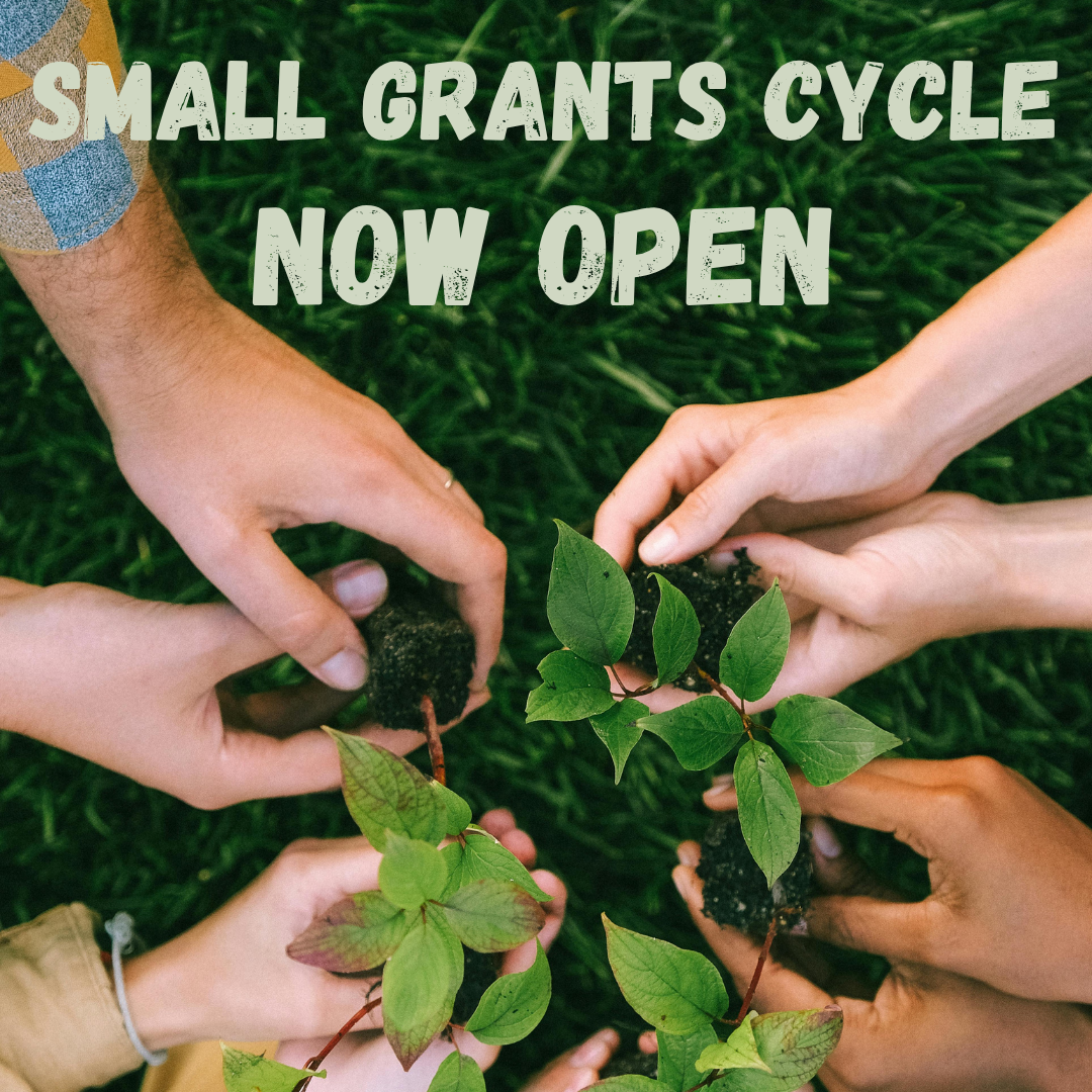 Small Grants Cycle Open