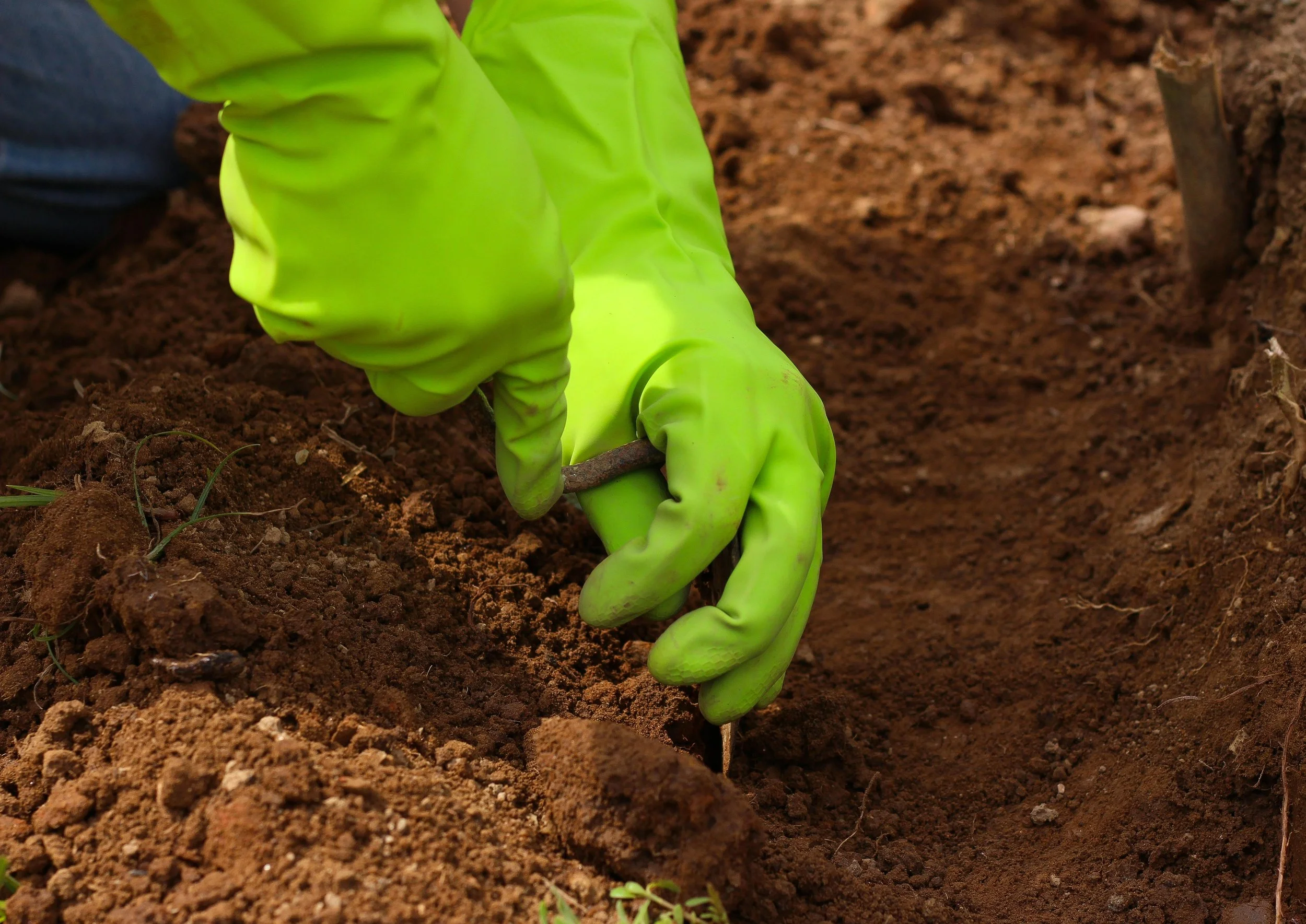 Lead In Our Soil