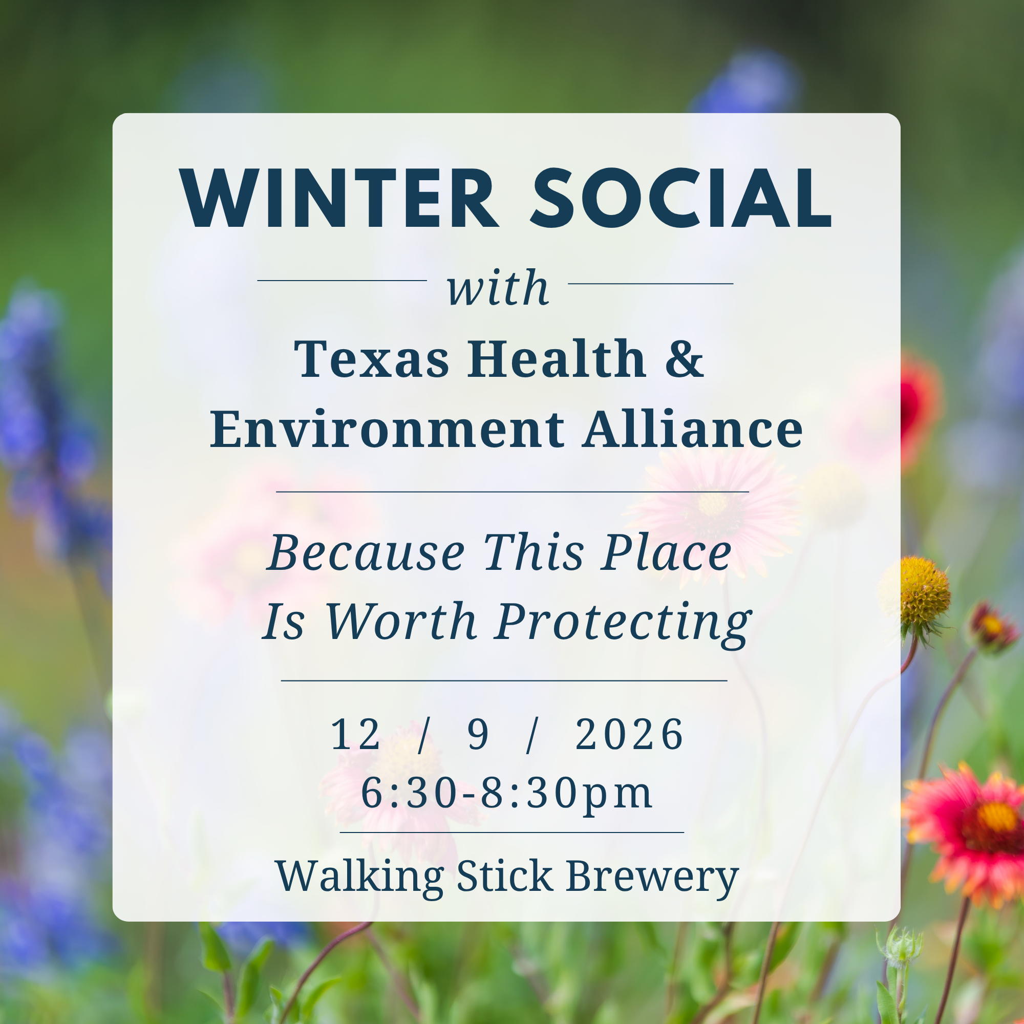 THEA's Winter Social