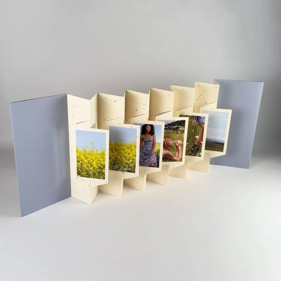 01-panorama-book-1.jpg
