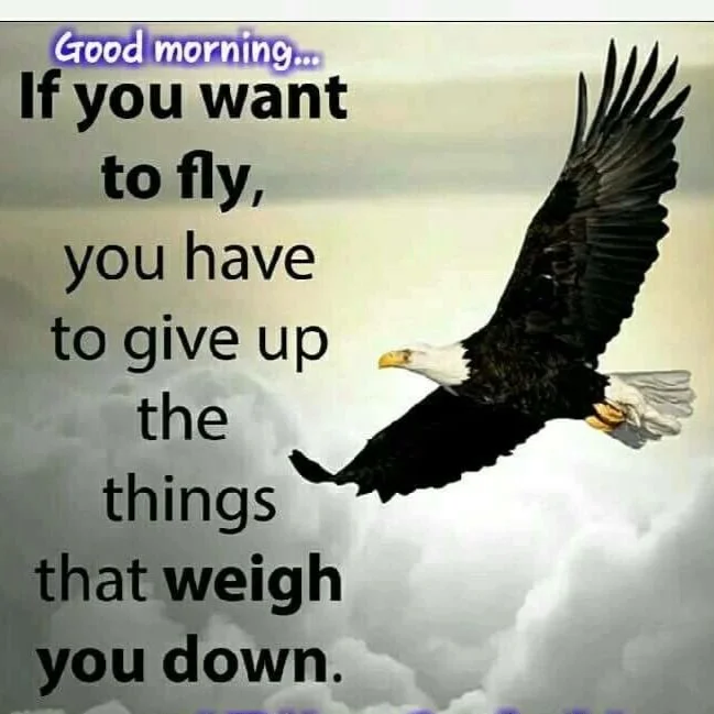 An inspirational quote about letting go to achieve freedom, featuring a soaring bald eagle against a cloudy sky background.