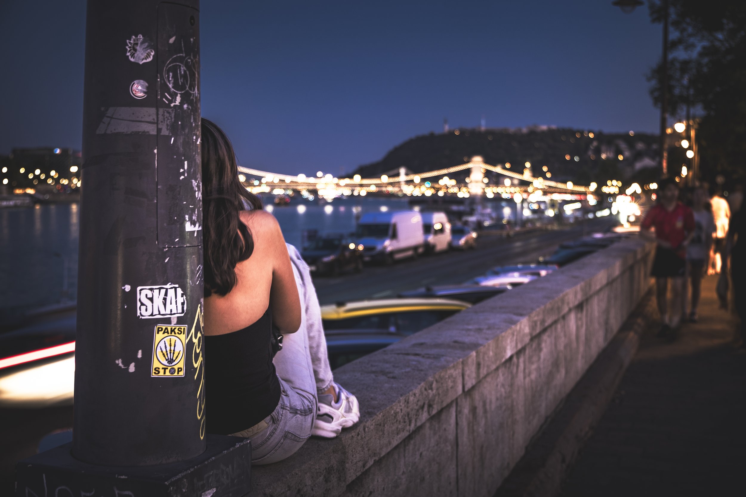Night view of the Danube