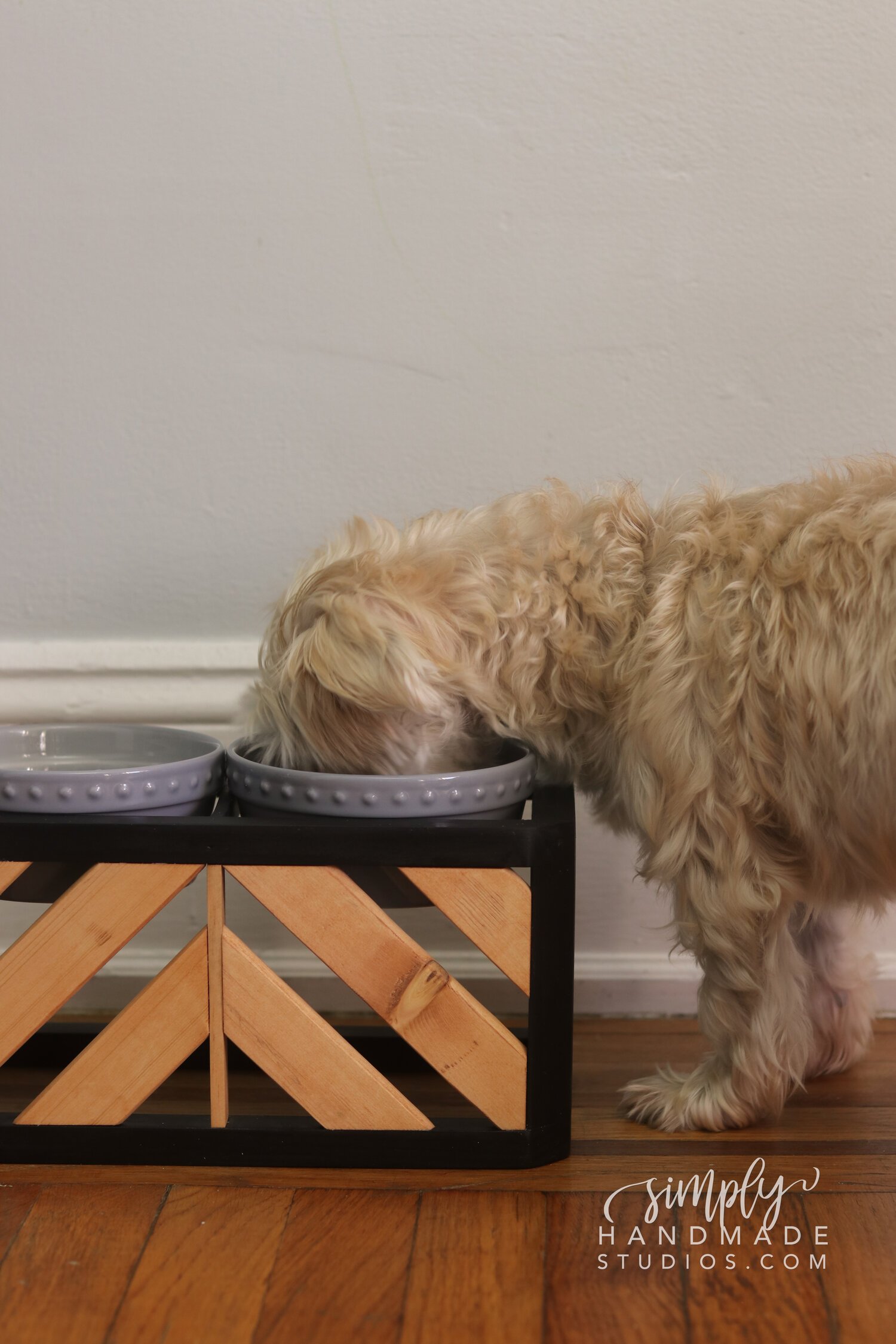 DIY Dog Bowl Stand Under $25 + Healthy Dog Meal Plan — SIMPLY