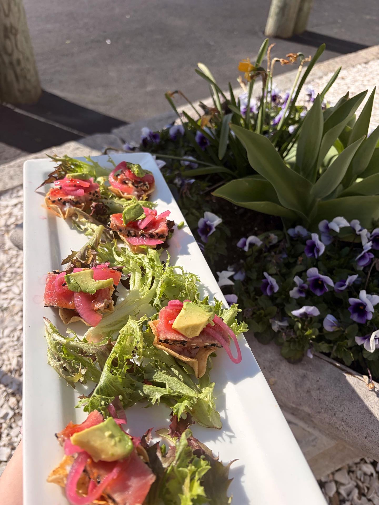 Fresh flavors and spring vibes, come try our new specials! 🌸🌼

Drink: Peanut Butter Oreo Martini

Appetizer: Ahi Nacho Bites

Entr&eacute;es: Harvest Chicken Succotash
Shrimp Mozambique

Dessert: Apple Crisp