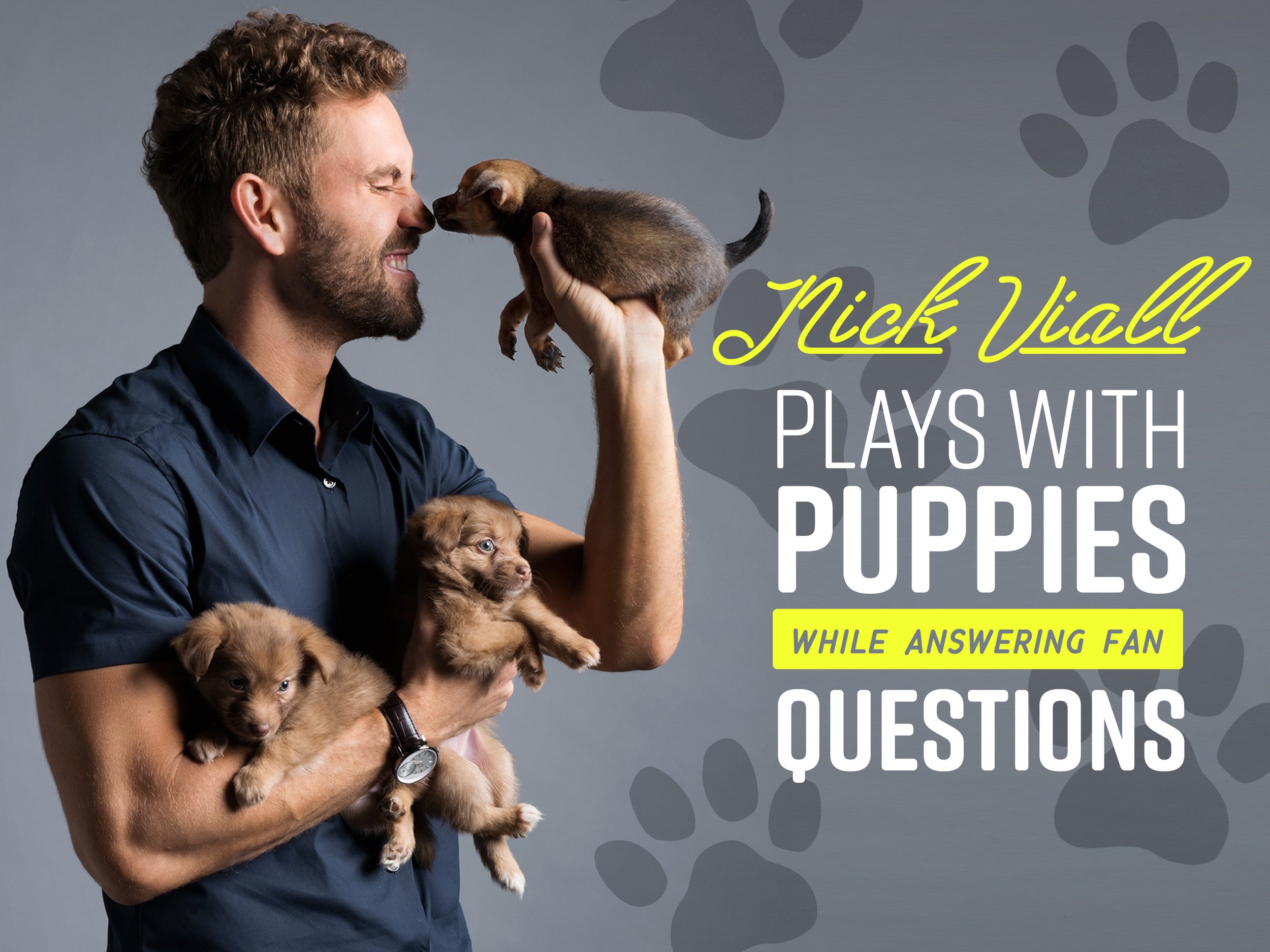 Nick_Viall_Header.jpg