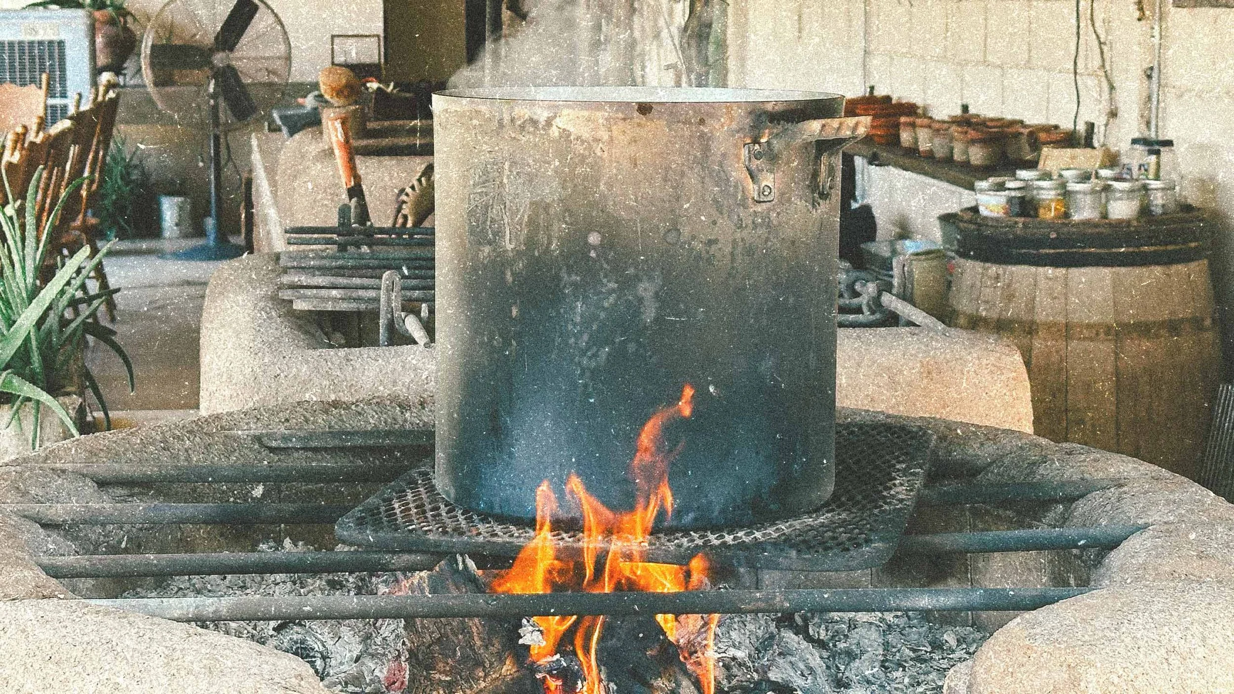 SUNRISE-BI5ON.jpg