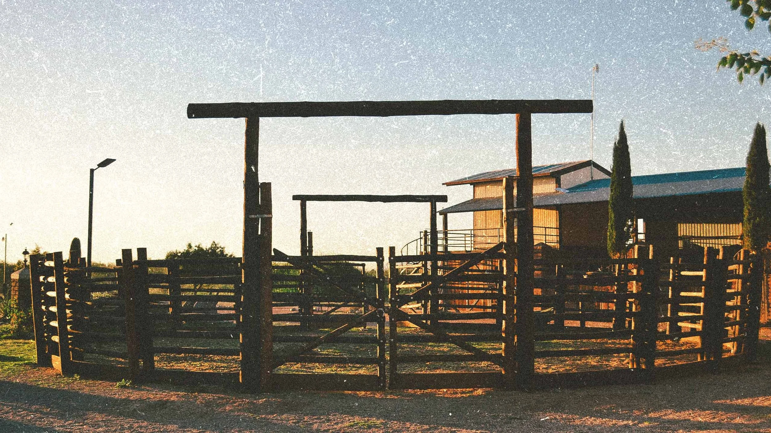 ROUND-PEN-BI5ON-RANCH.jpg