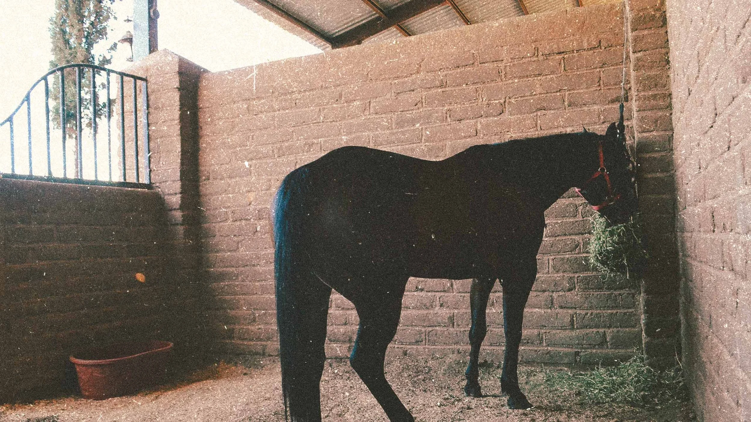 HORSE-STALLS-BI5ON.jpg