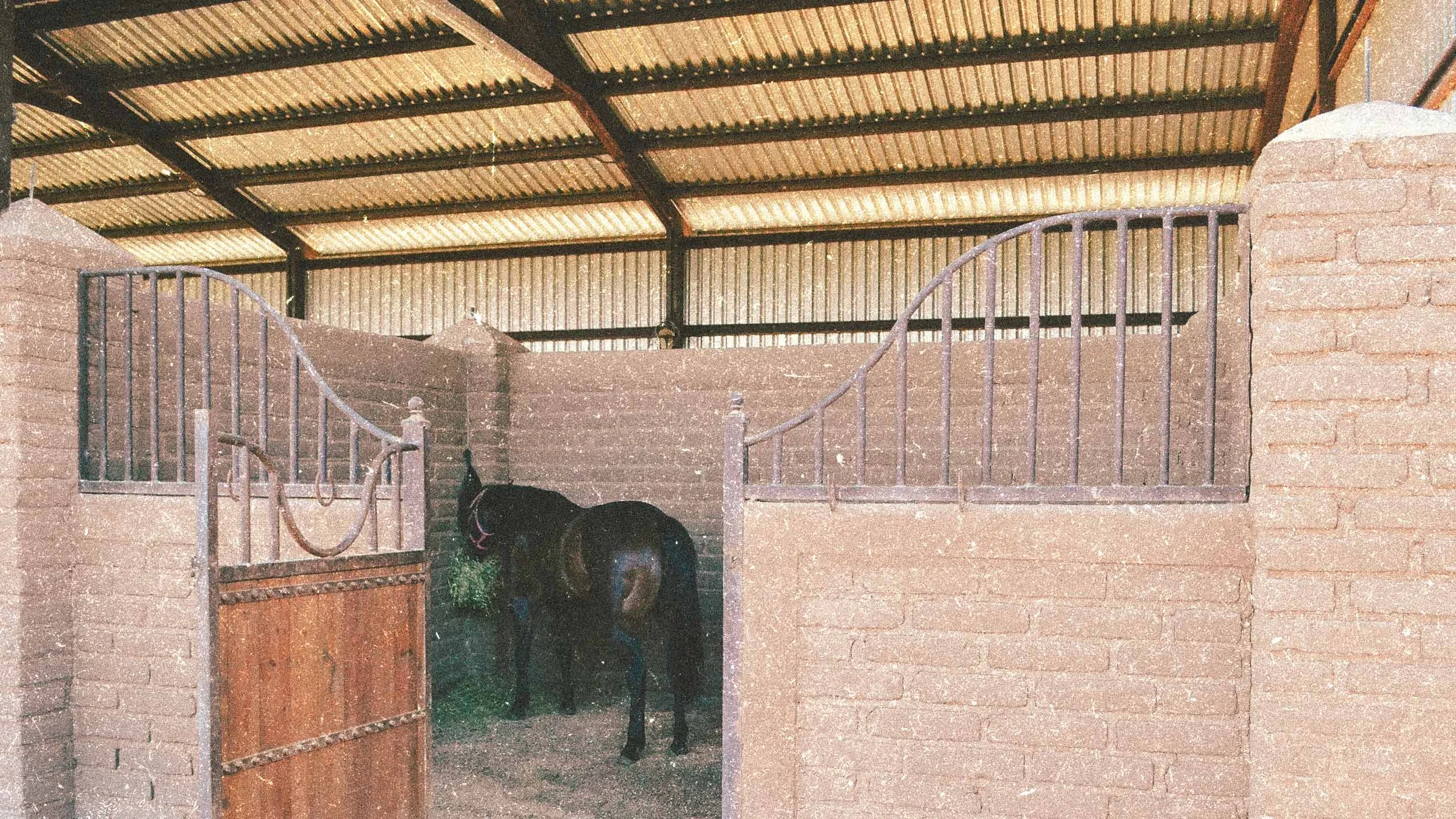 HORSE-STALLS-BI5ON-2.jpg