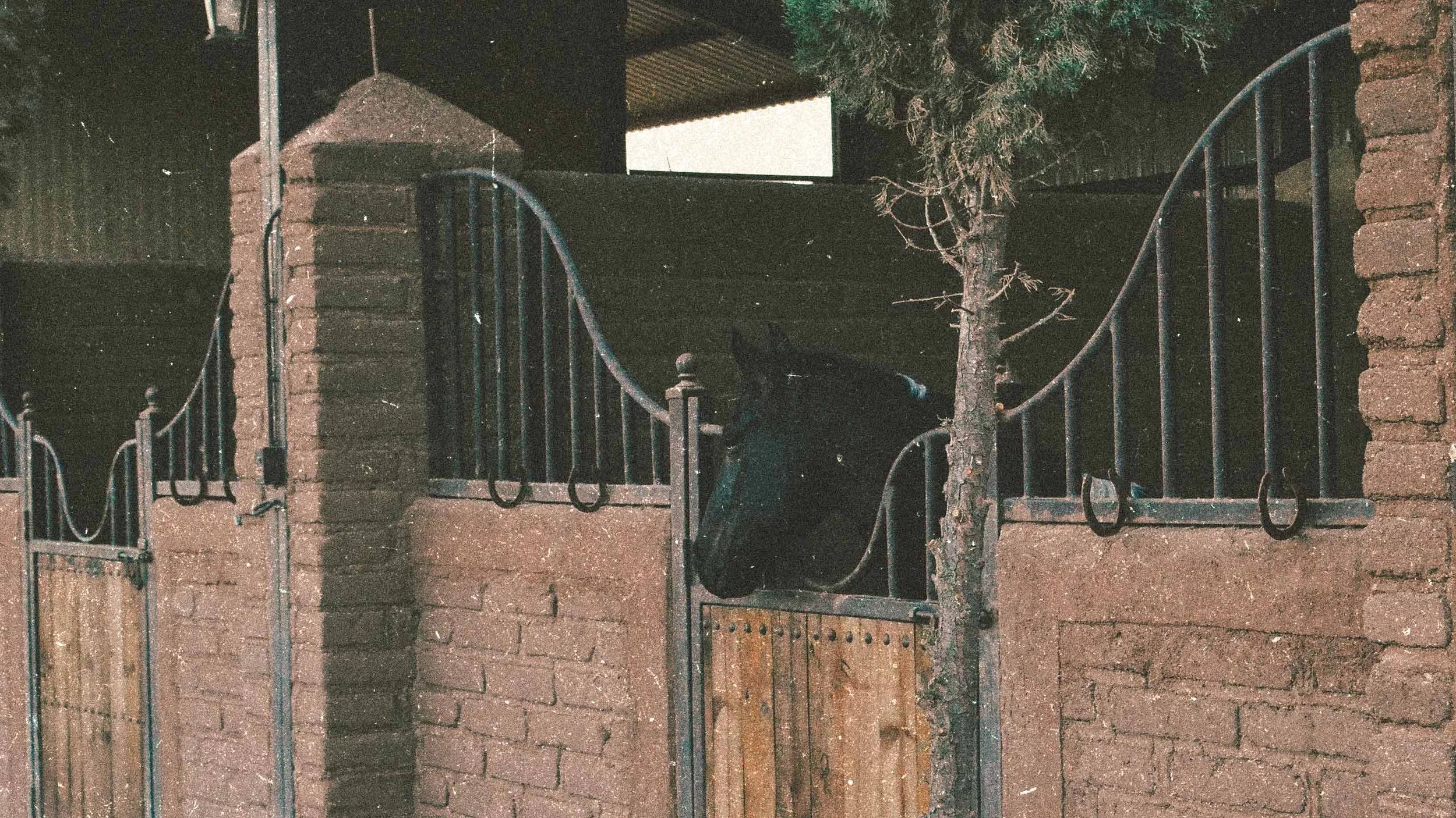 HORSE-STALLS-BI5ON-3.jpg