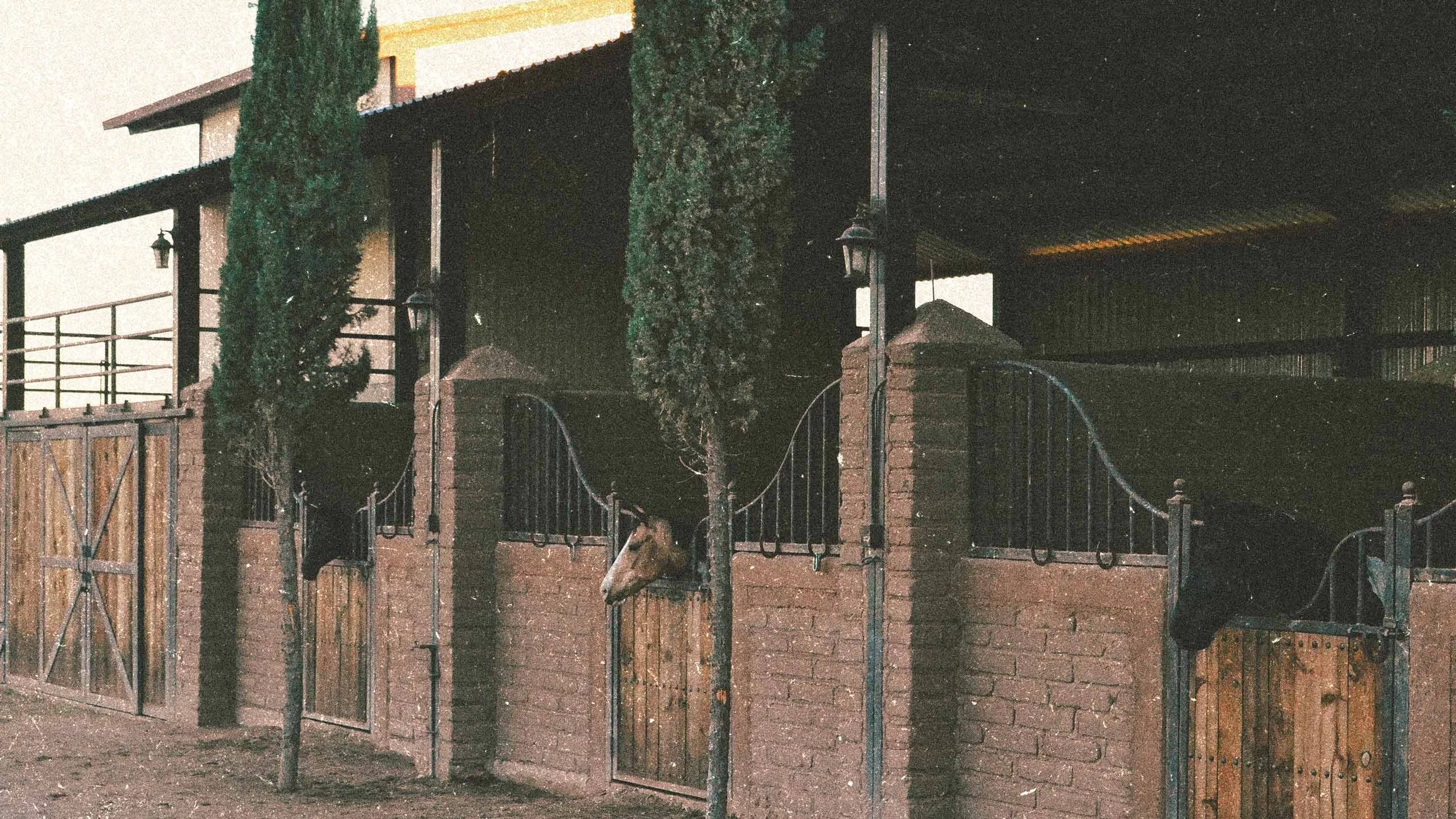 HORSE-STALLS-BI5ON-4.jpg