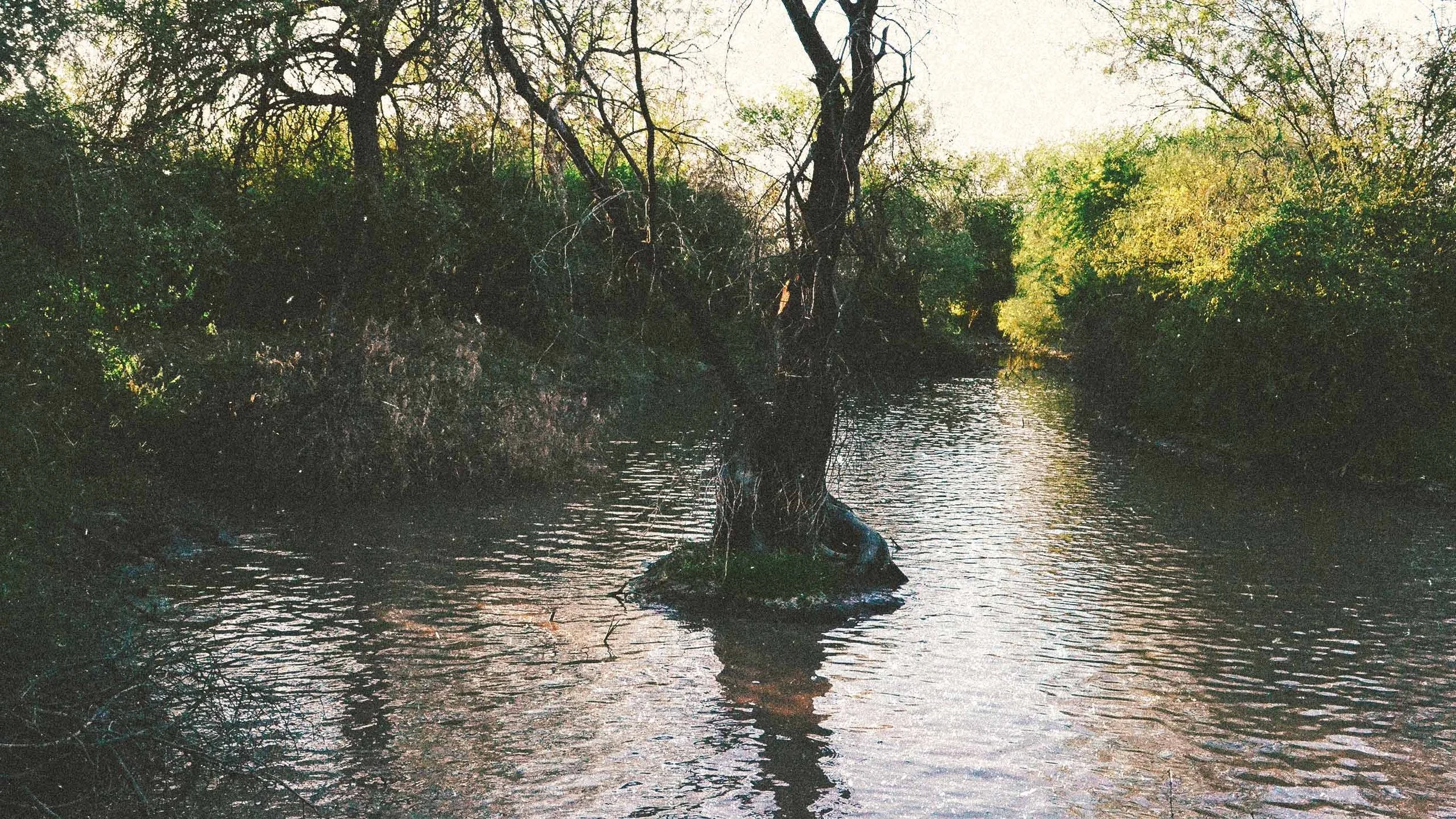 WATER-HOLD-BI5ON-2.jpg