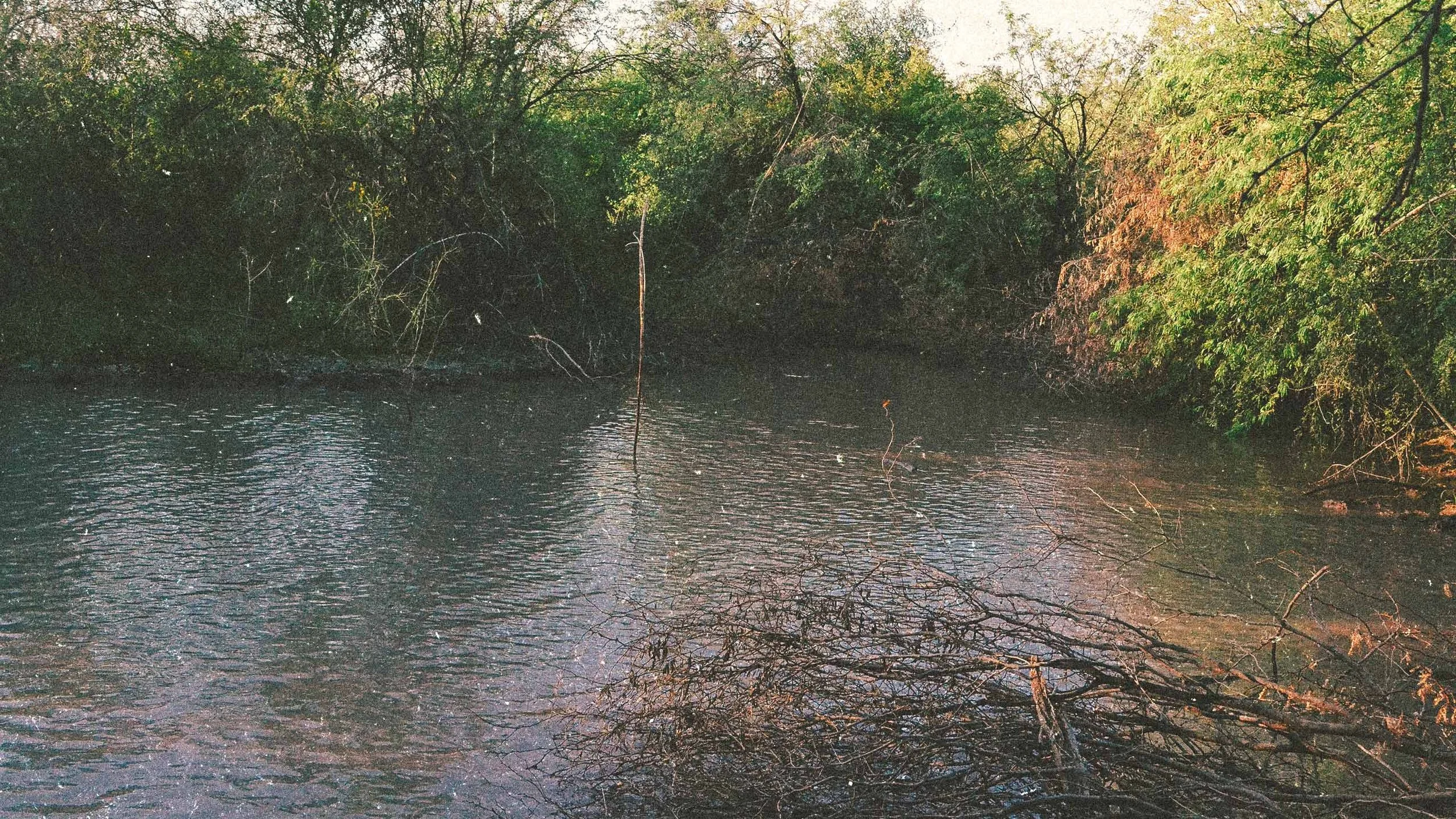 WATER-HOLD-BI5ON-3.jpg