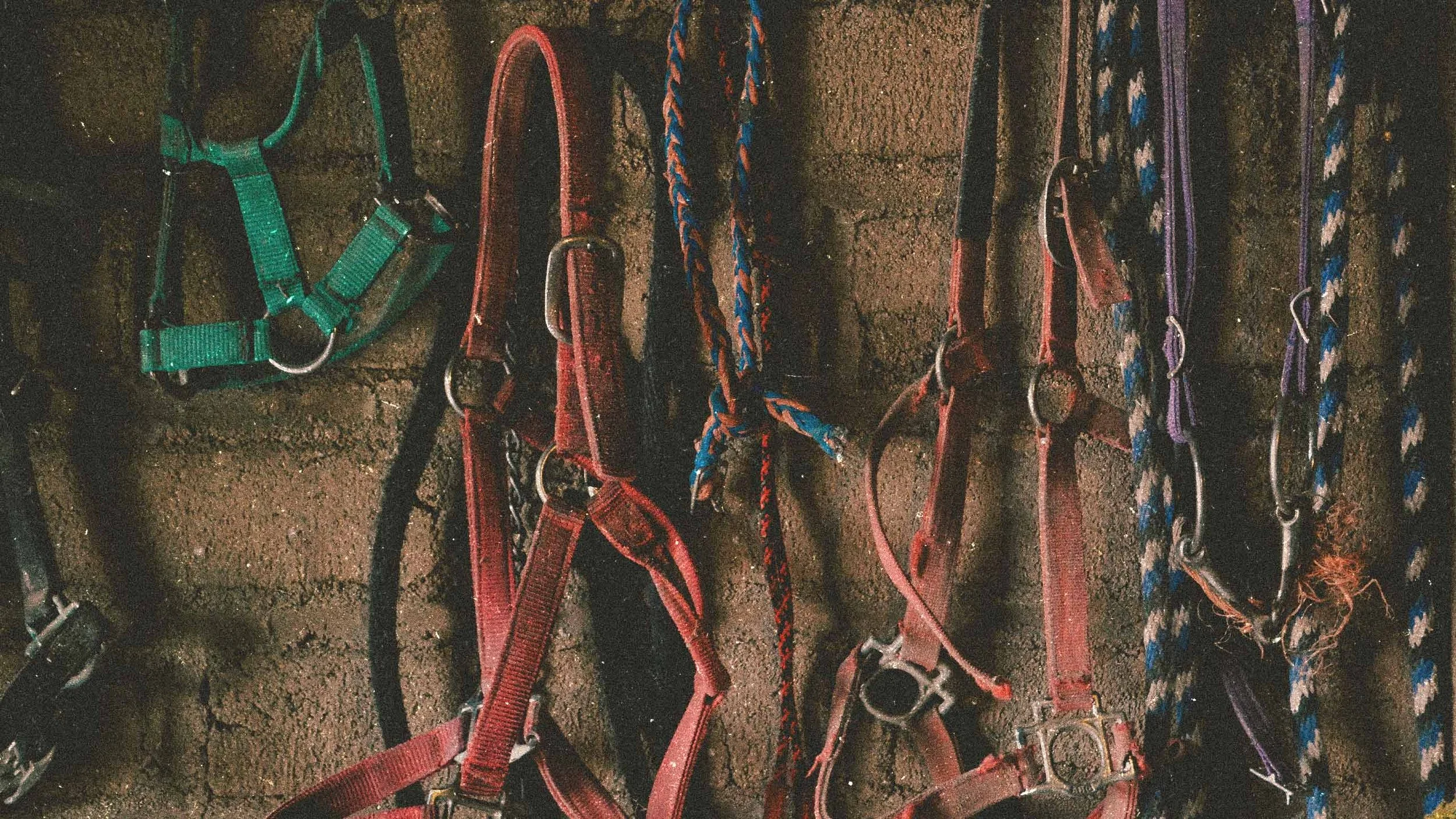 tack-2-bi5on.jpg