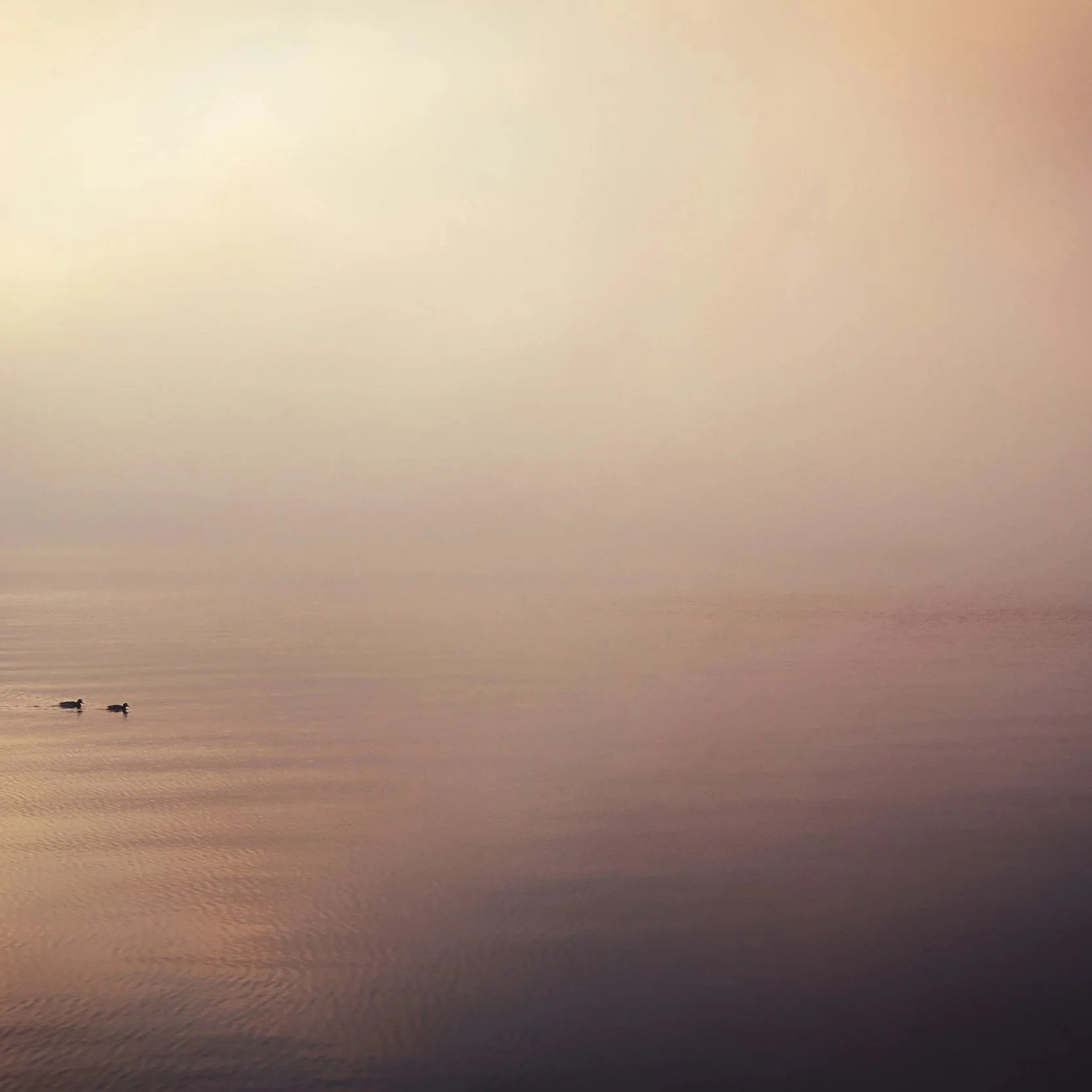 Inzichten, verlies, trauma, onthechting, gemis, rouw