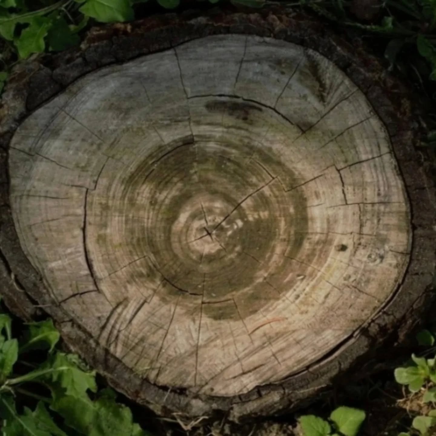 Groei gaat niet in &eacute;&eacute;n keer 🌿

Het gaat in lagen.
Stap voor stap.

Soms vertraag je, soms kom je iets ouds tegen
En juist daar ontstaat ruimte voor iets nieuws.

In de groep 'Lichaamsbewust leven' werken we vanuit die beweging.

Vanuit