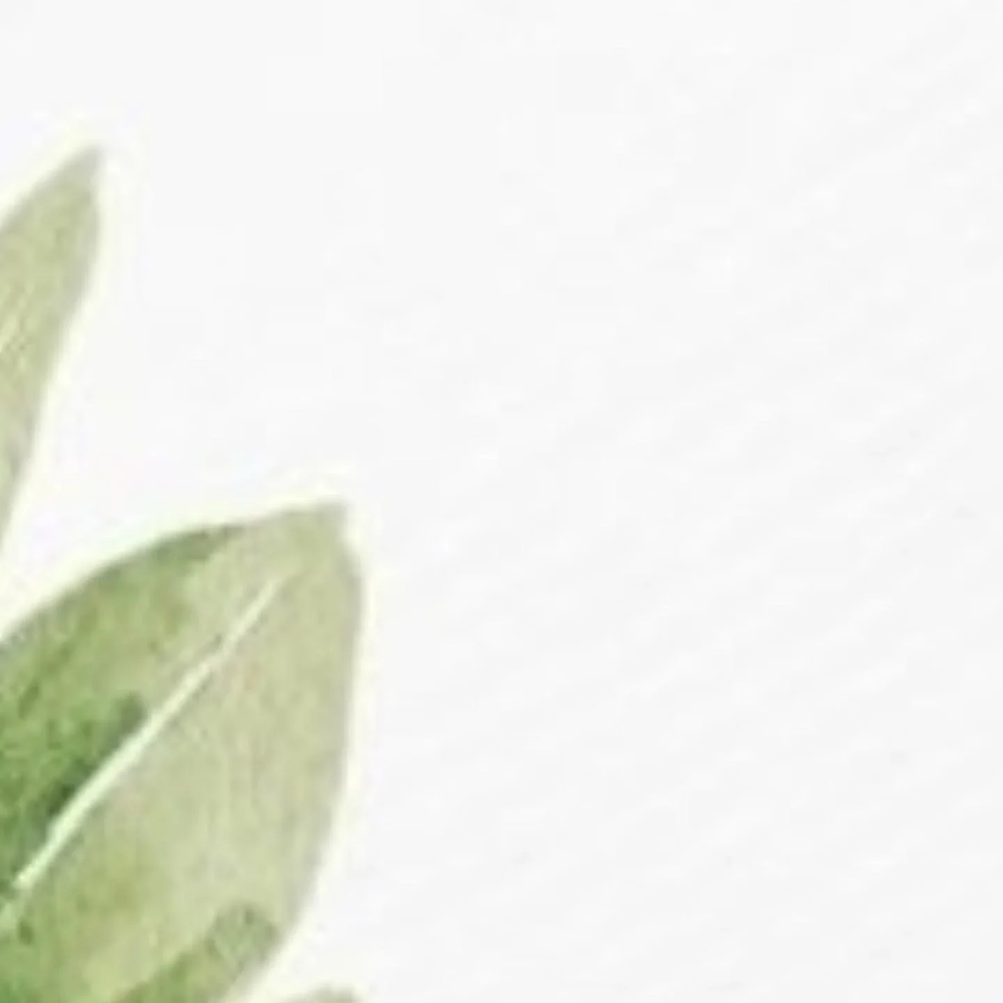 De afgelopen tijd heb ik veel gedeeld over het groepsprogramma "Lichaamsbewust leven"🌿

Aanstaande zaterdag geef ik samen met andere collega's uit het holistische werkveld een middag waarin je op een laagdrempelige manier kunt ervaren wat 