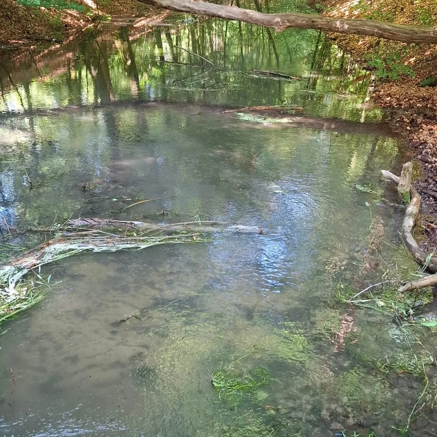 Terug van vakantie 🌿

Na een week genieten in de natuur en met elkaar (vooral met die tropische temperaturen), ben ik weer terug in de praktijk. 

Even uitzoomen en opladen heeft me goed gedaan. 

Met frisse energie en aandacht is er de komende tijd