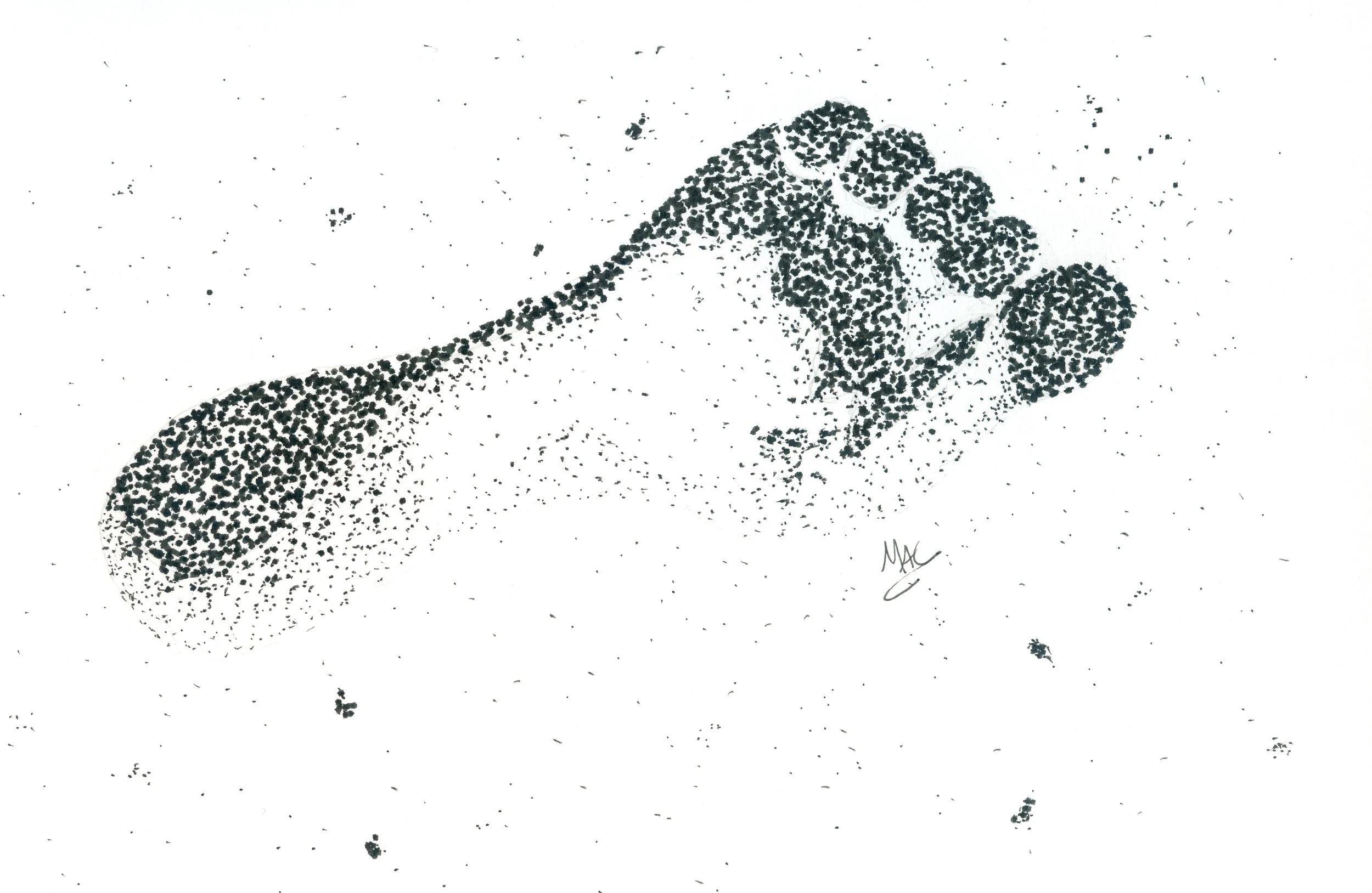 first impression.jpg