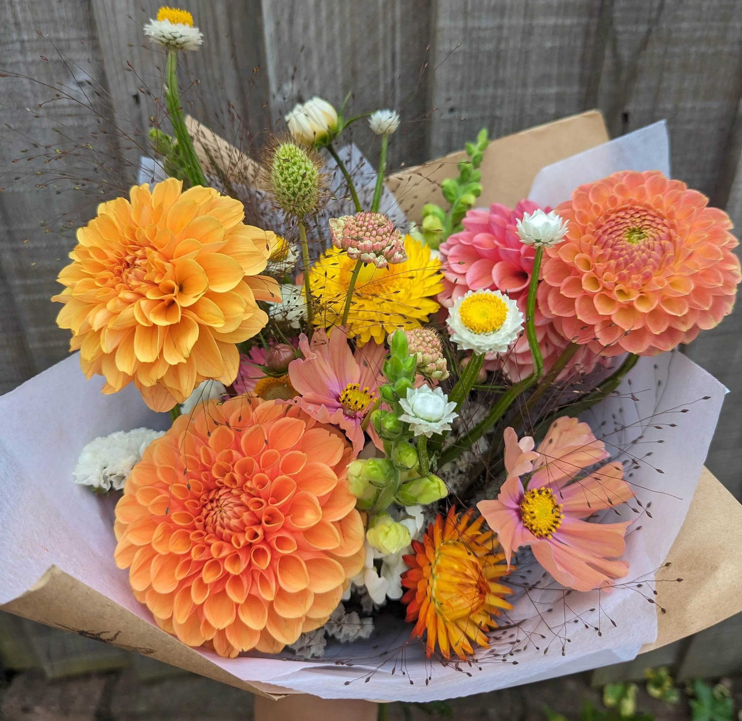 WILD AT DAWN FLOWERS