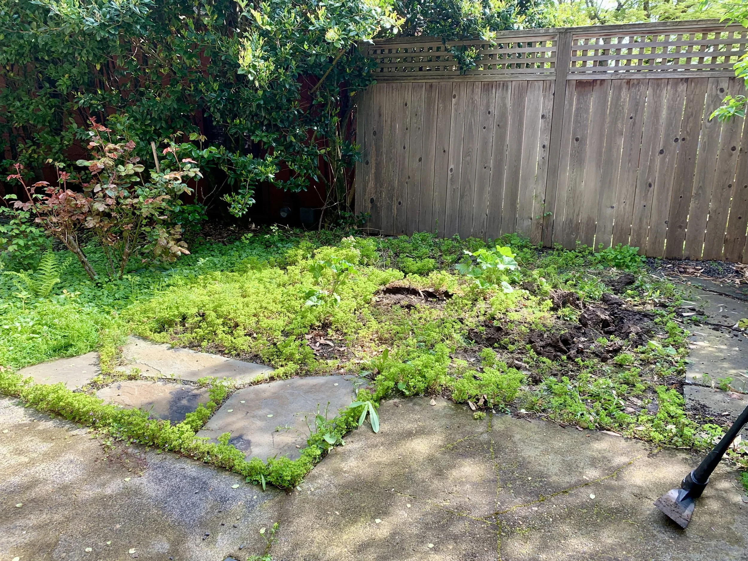 Residential Paver Patio Installation – Portland, OR