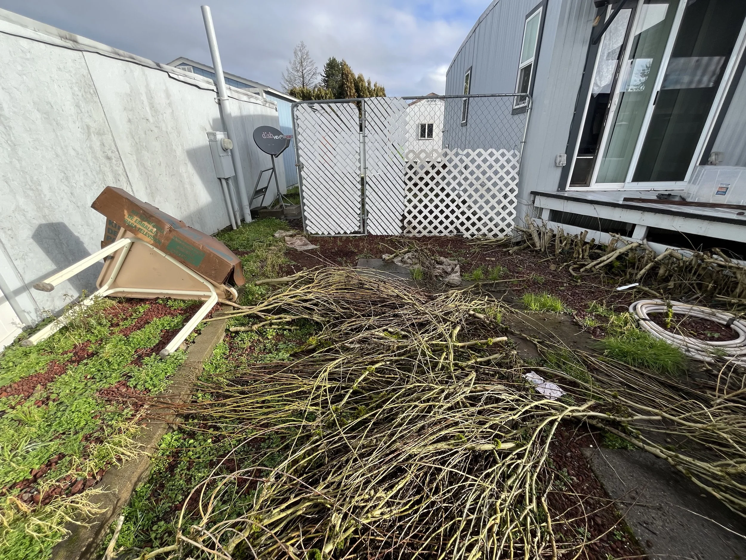Landscape Cleanup, Grading & Sod Installation – Salem, OR