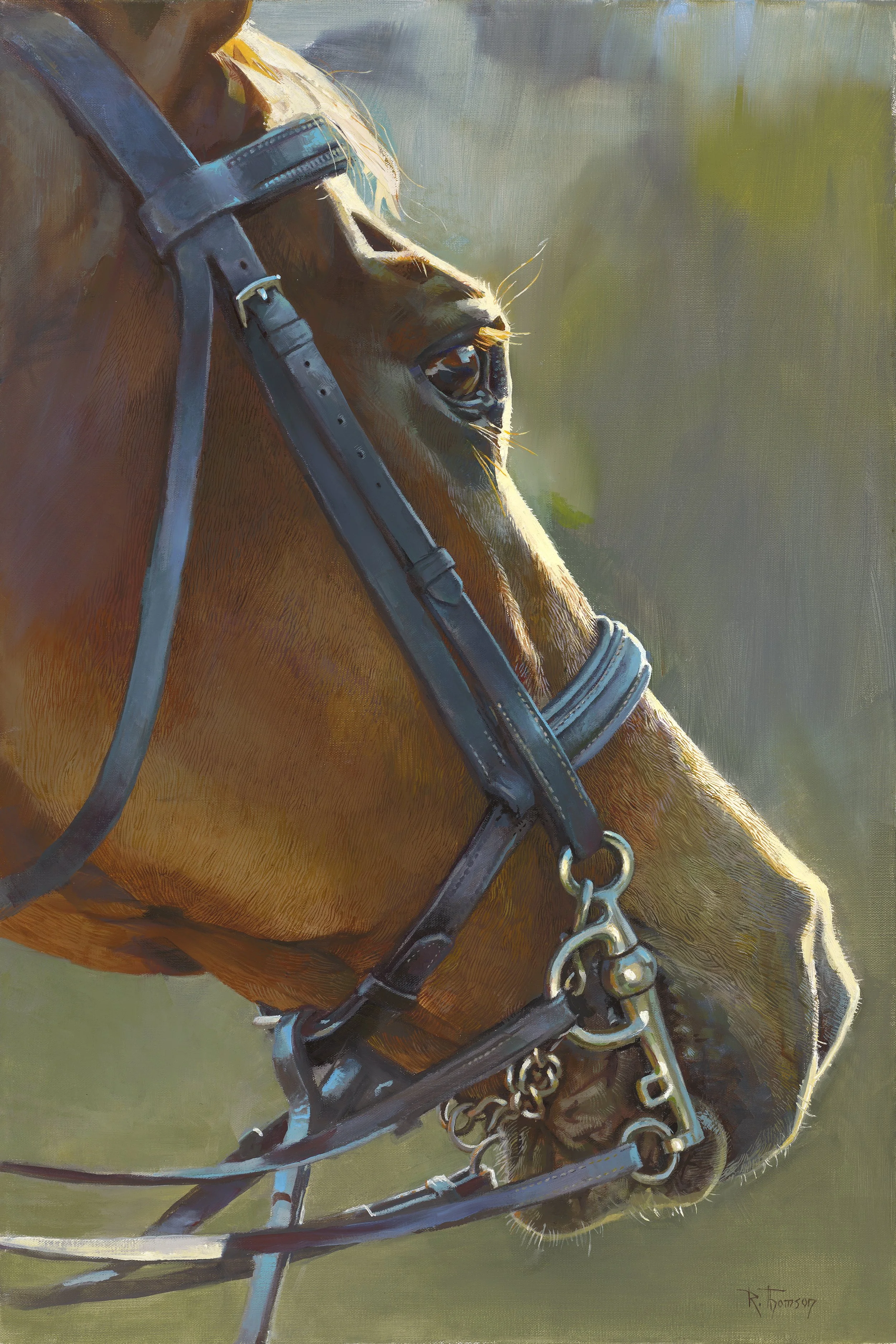 Solid Citizen   16" x 24"   Oil on Linen