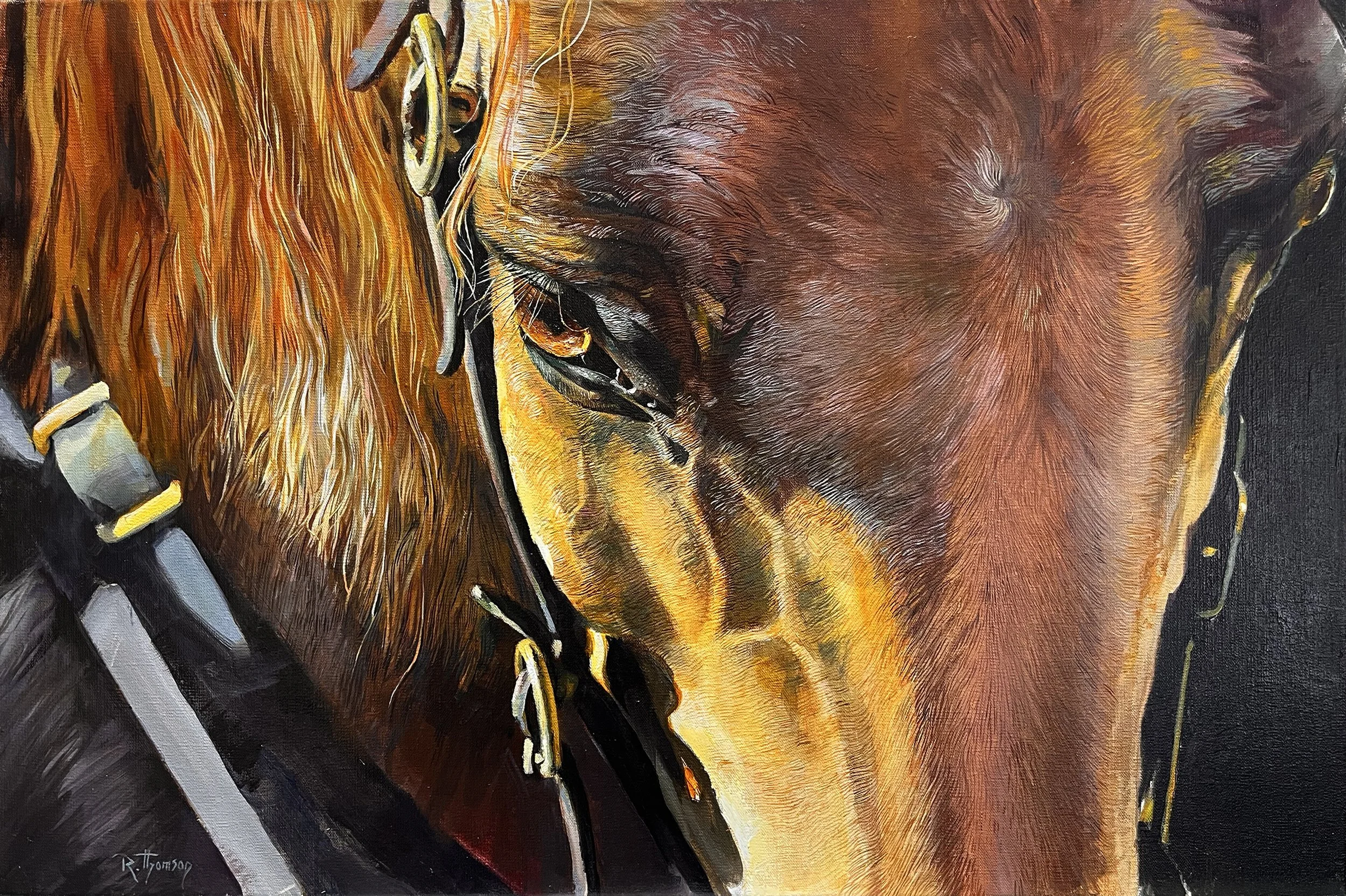 Golden Eye   16" x 24"   Oil on Linen