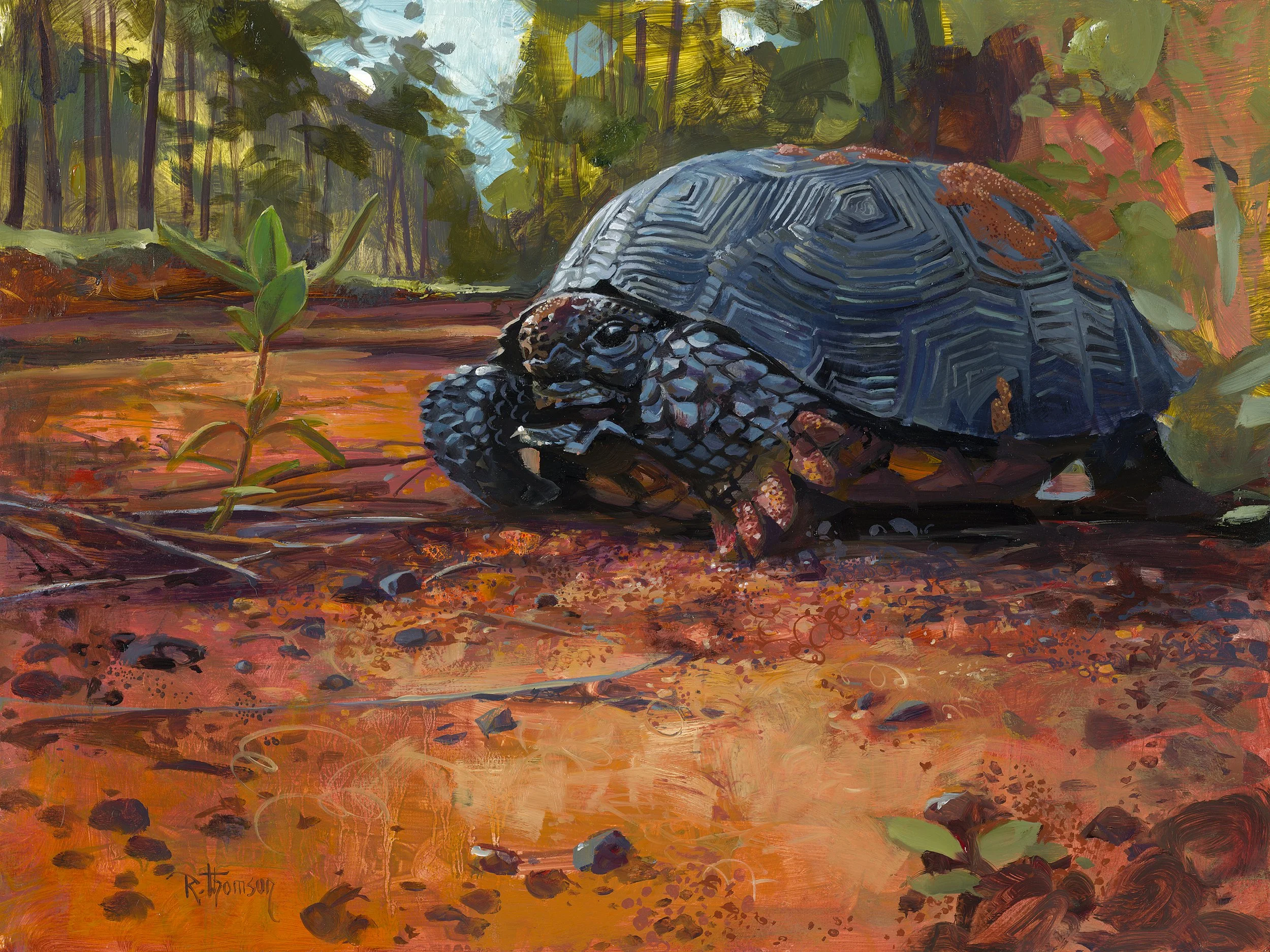 Gopher It   12" x 16"   Oil on Panel