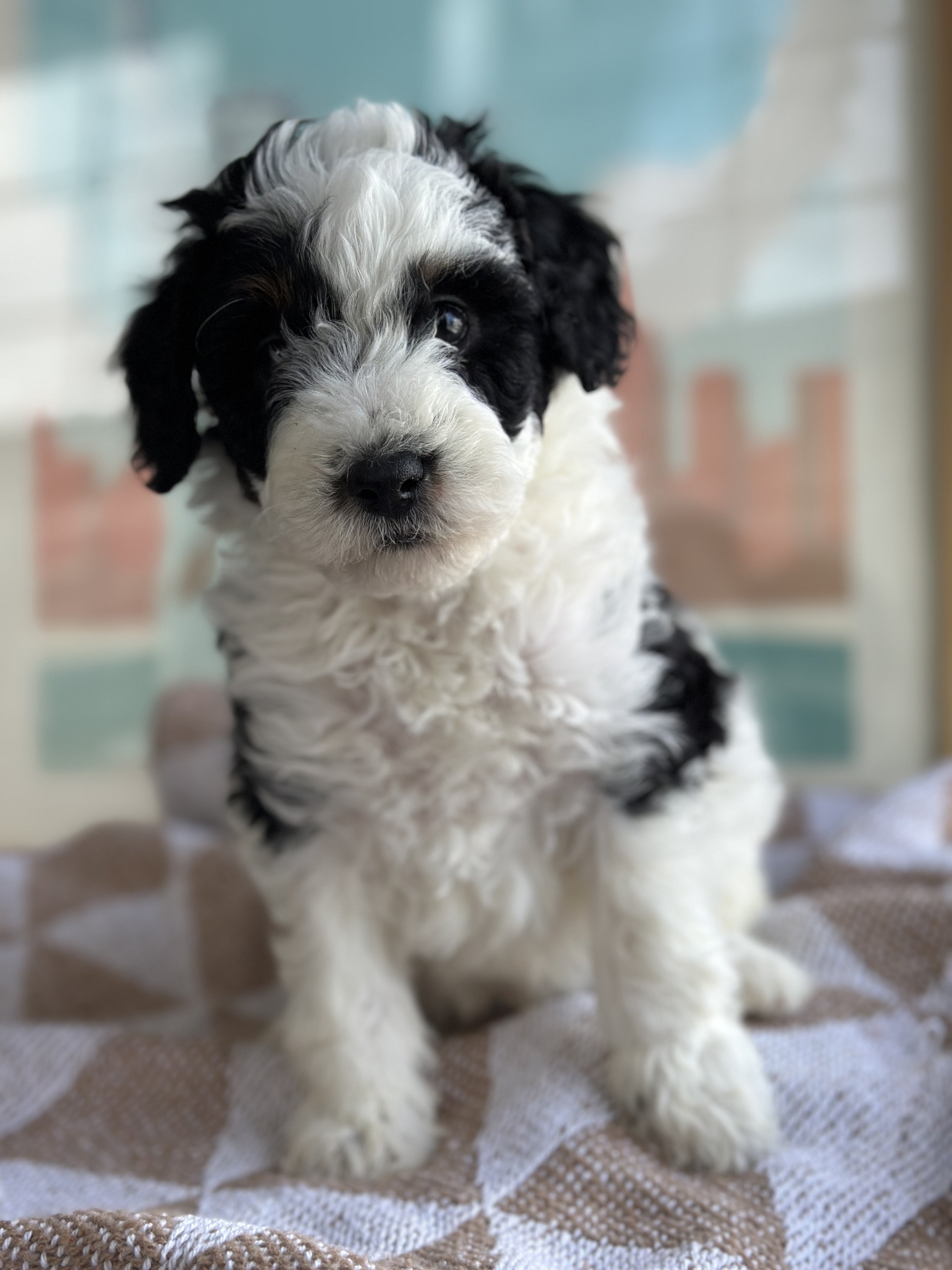 MILLER NEWIMG_8817.jpg