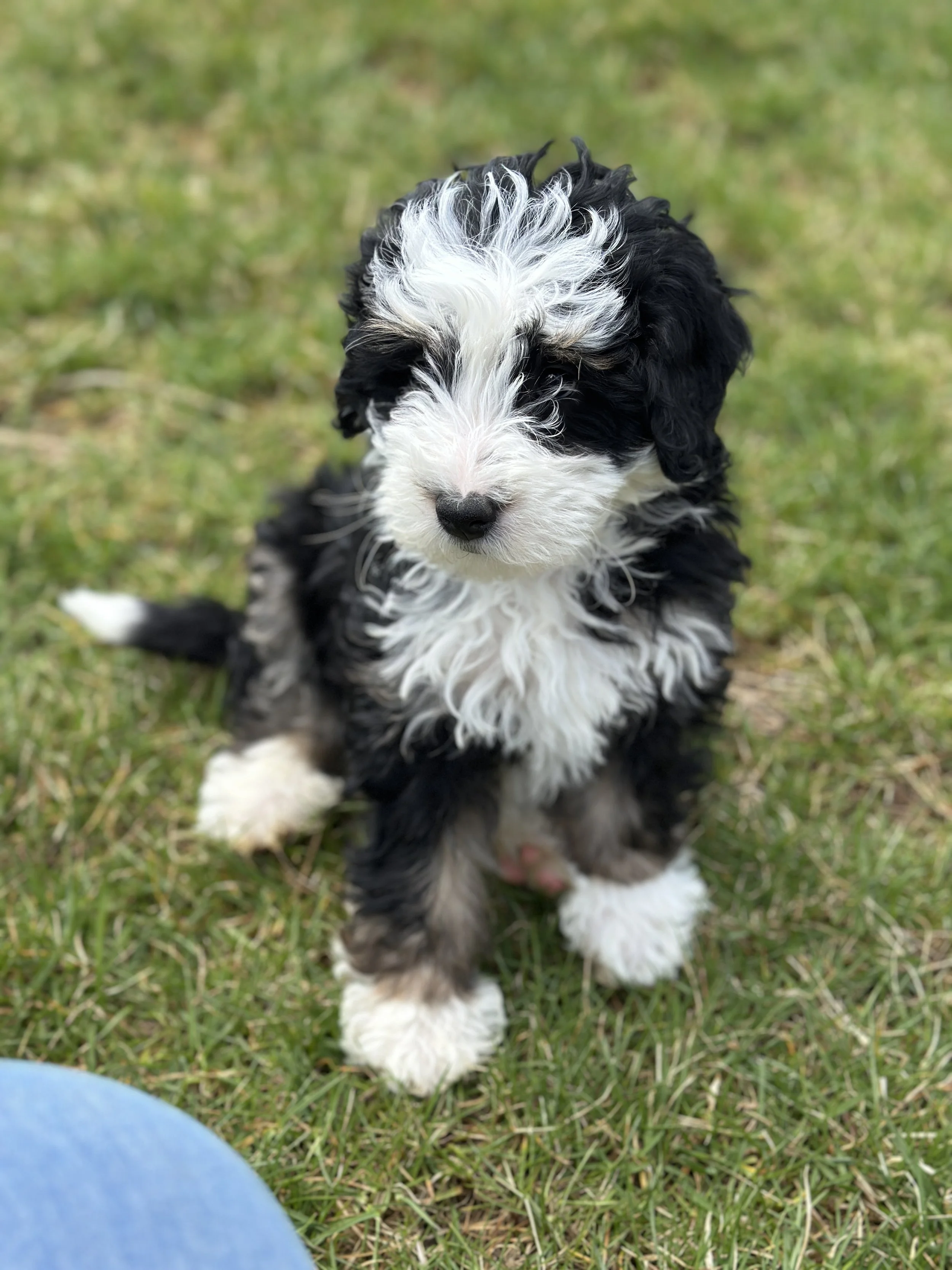 wells newIMG_9045.jpg