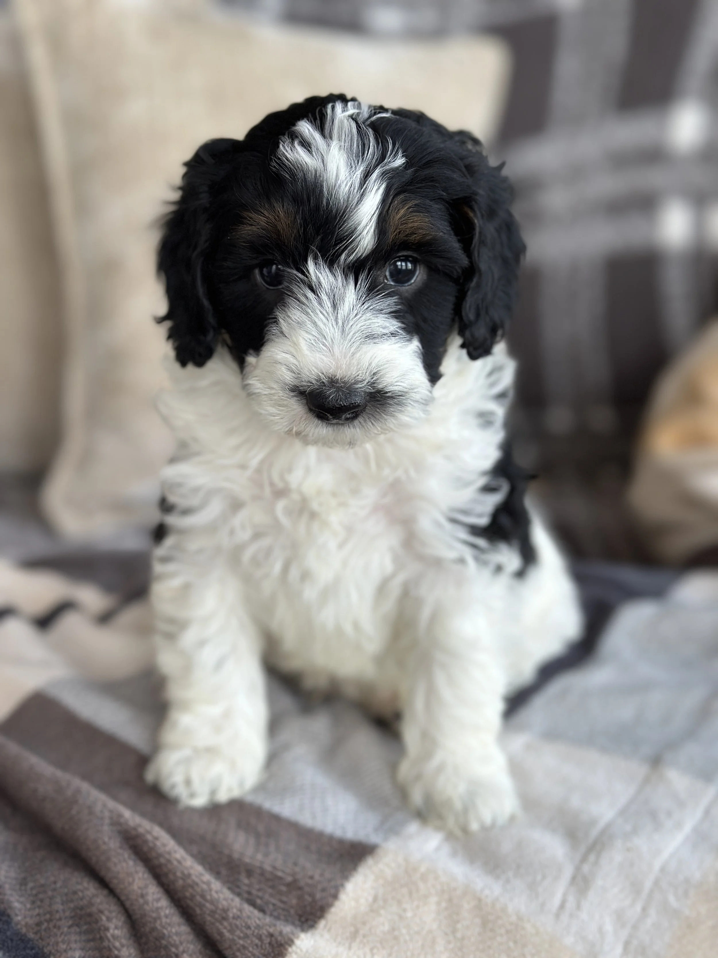 BASH NEW IMG_8774.jpg