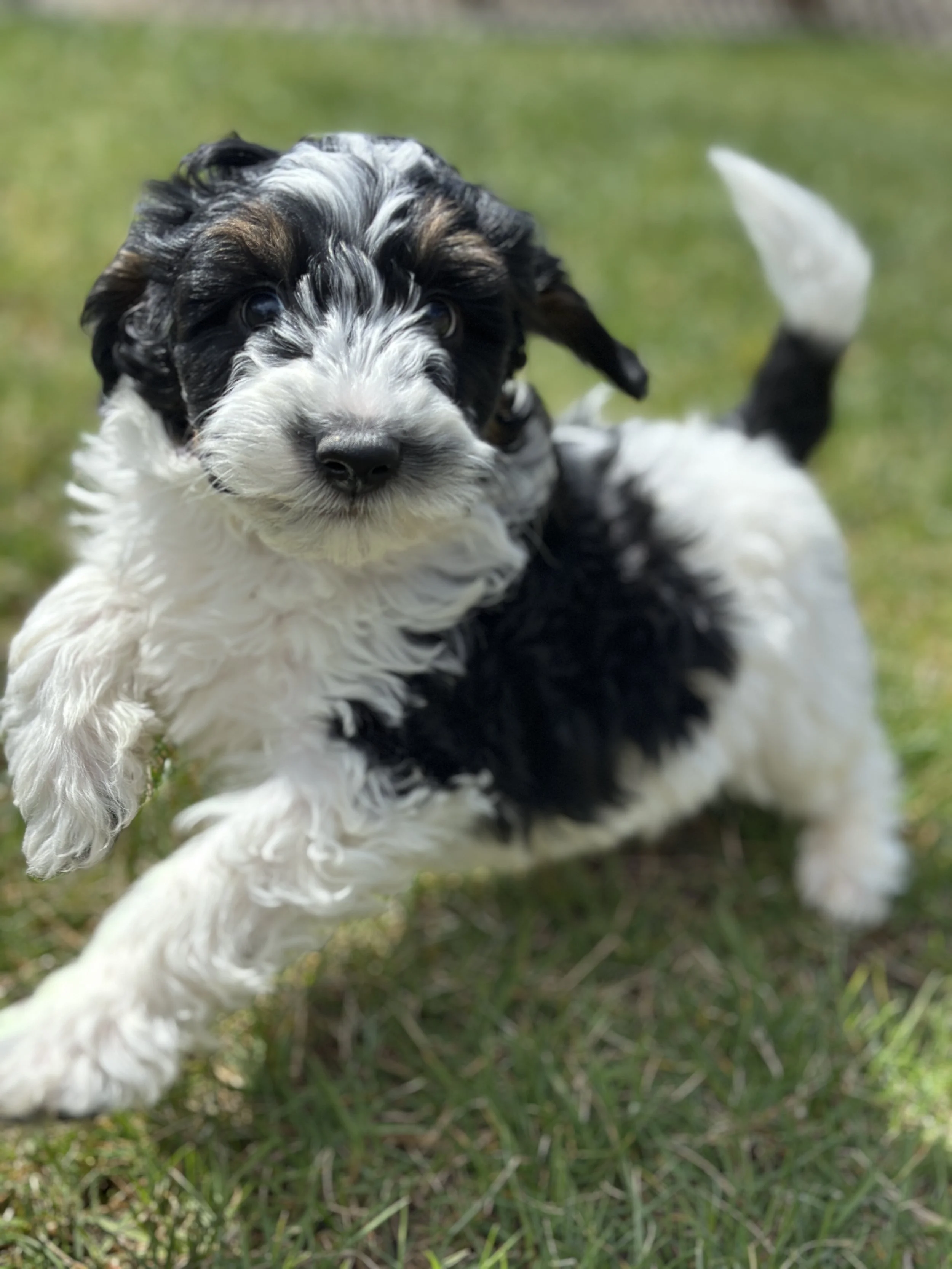 bash newIMG_9019.jpg