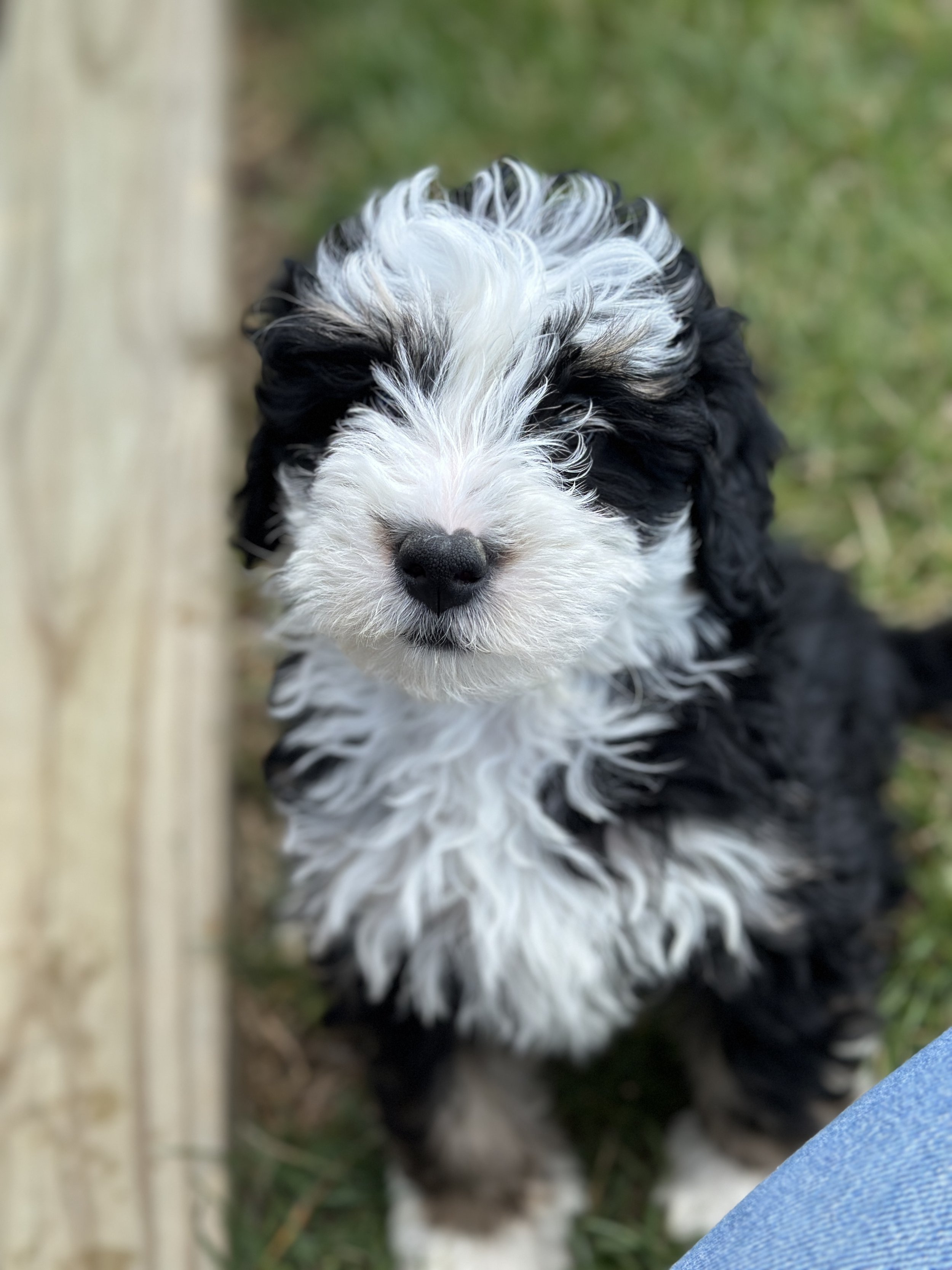 wells newIMG_9041.jpg