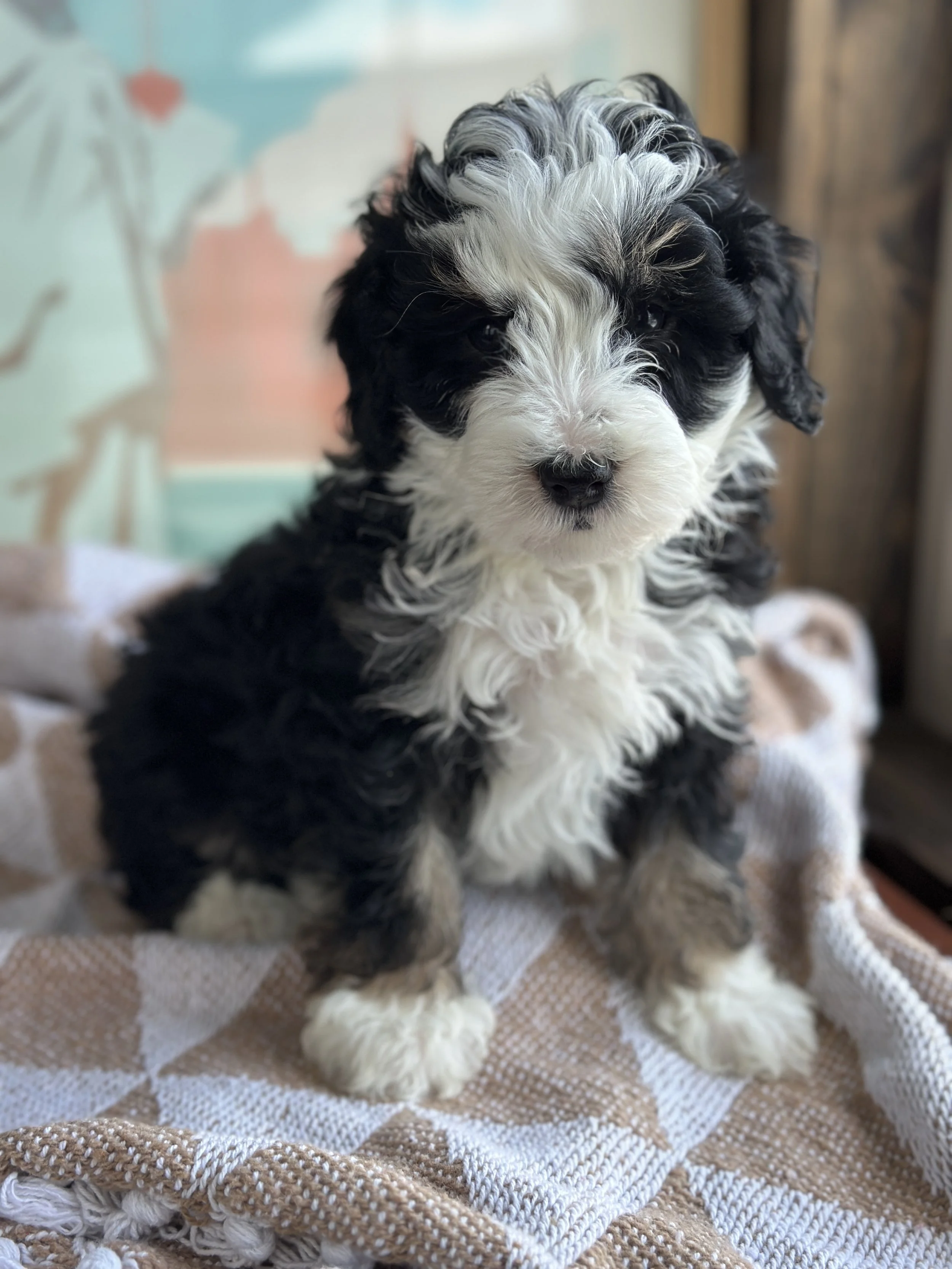 WELLS NEWIMG_8798.jpg