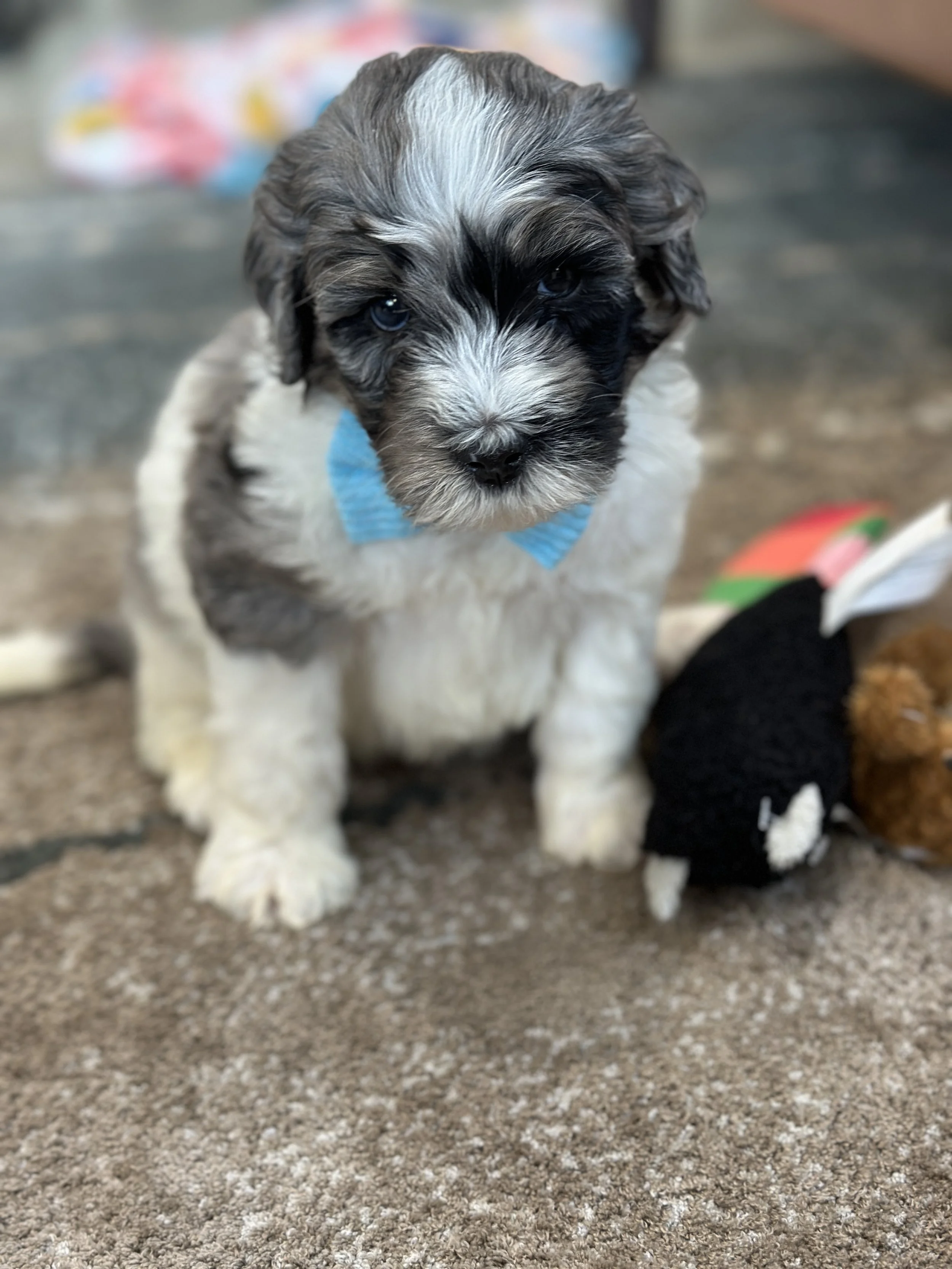 winnieIMG_0589.jpg
