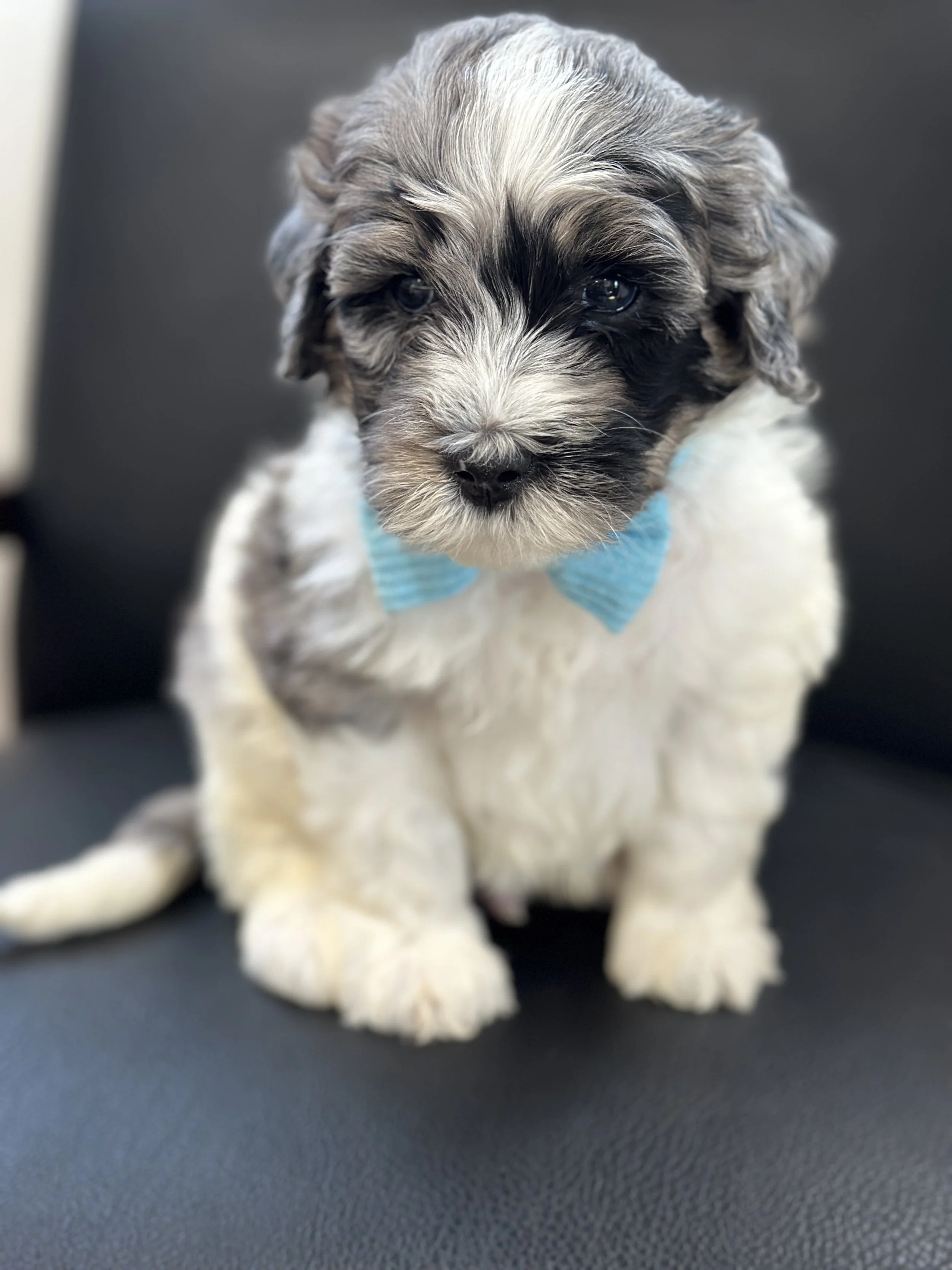 winnieIMG_0588.jpg