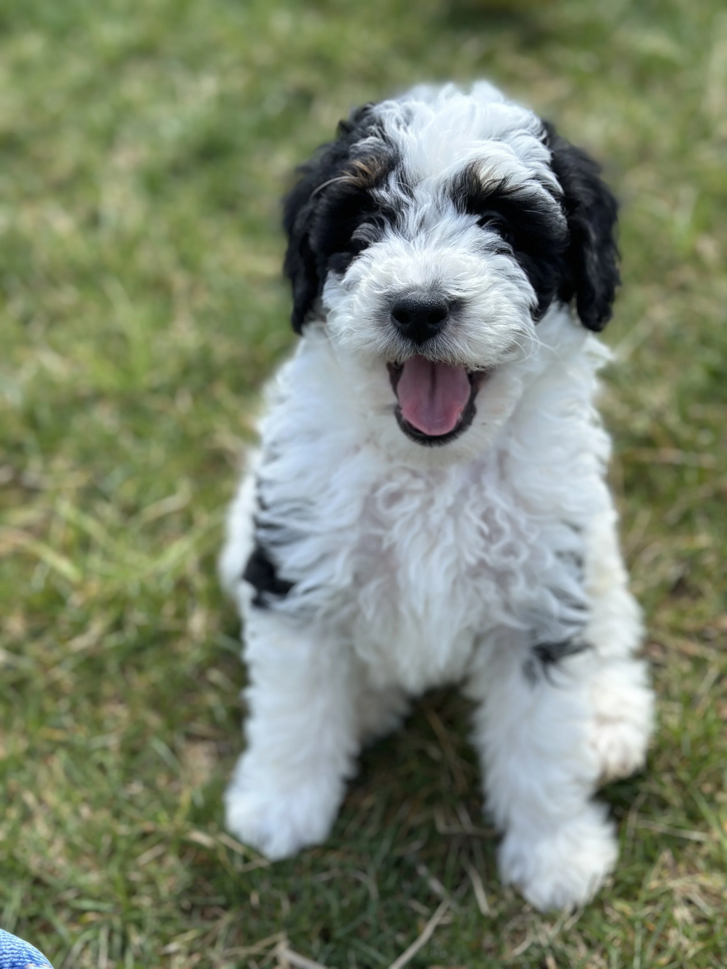 miller new IMG_9065.jpg