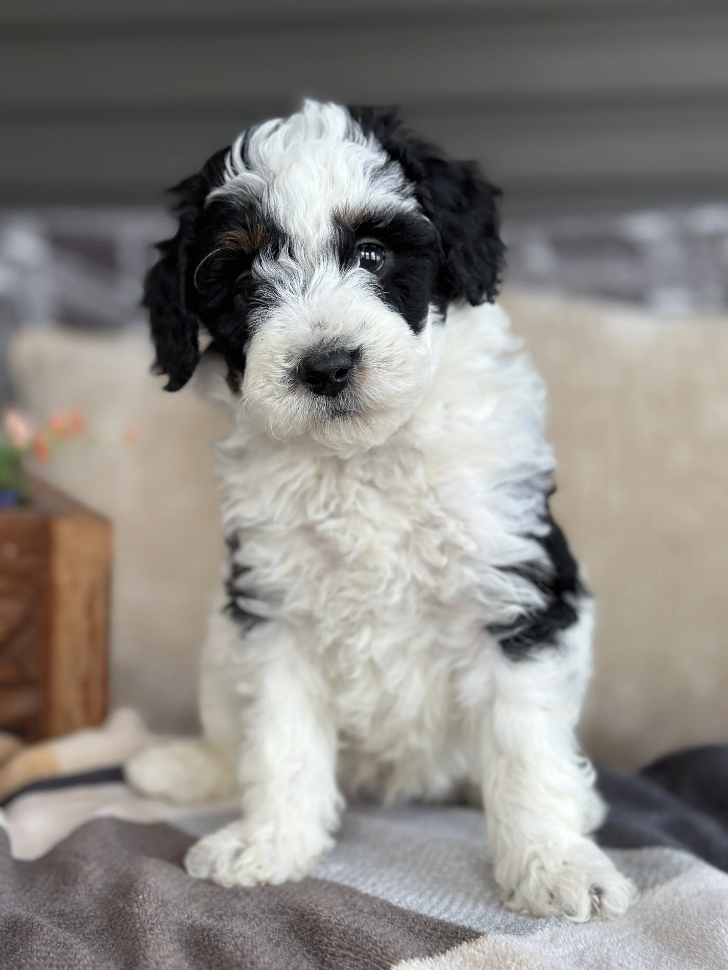 MILLER NEWIMG_8835.jpg